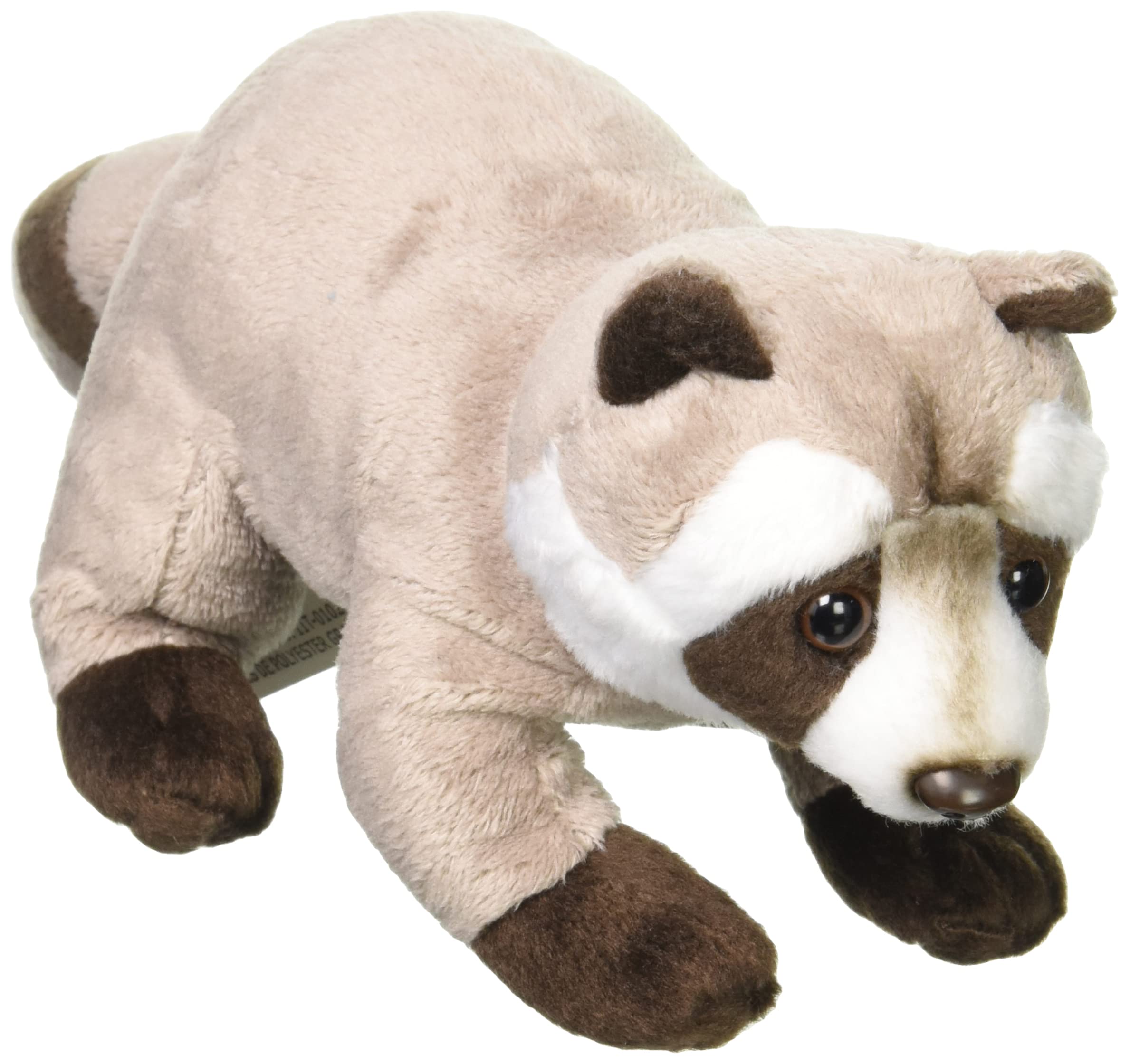 Amazon.co.jp: ナショナルジオグラフィック ぬいぐるみ アライグマの