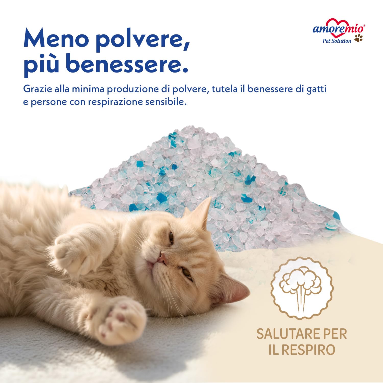 Amore Mio - 33 Litri - Lettiera Gatto - Sabbia in Cristalli di Silicio - ad Alto Assorbimento e Veloce da Pulire, 5,5 Lt (6 Confezioni)