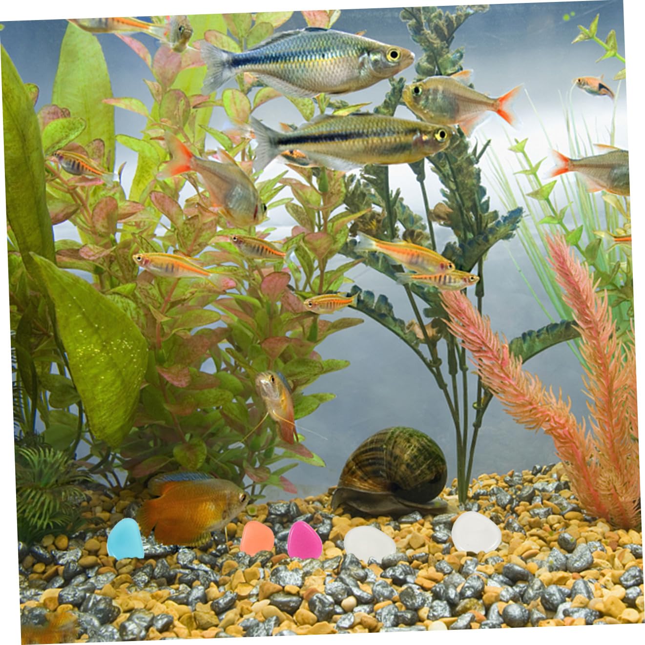 YARNOW 3 Ensembles Cailloux Lumineux Decoration Jardin Décoration Jardin Décoration De Jardin Décorations D'aquarium Qui Brillent Dans Roches D'aquarium Résine 200 Pièces * 3