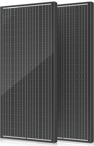 Panel solar de 18BB 200 W, 2 paneles solares tipo N de 12 V24 V, 100 W, 25 % módulo solar monocristalino de alta eficiencia, para RV, barco, marina,
