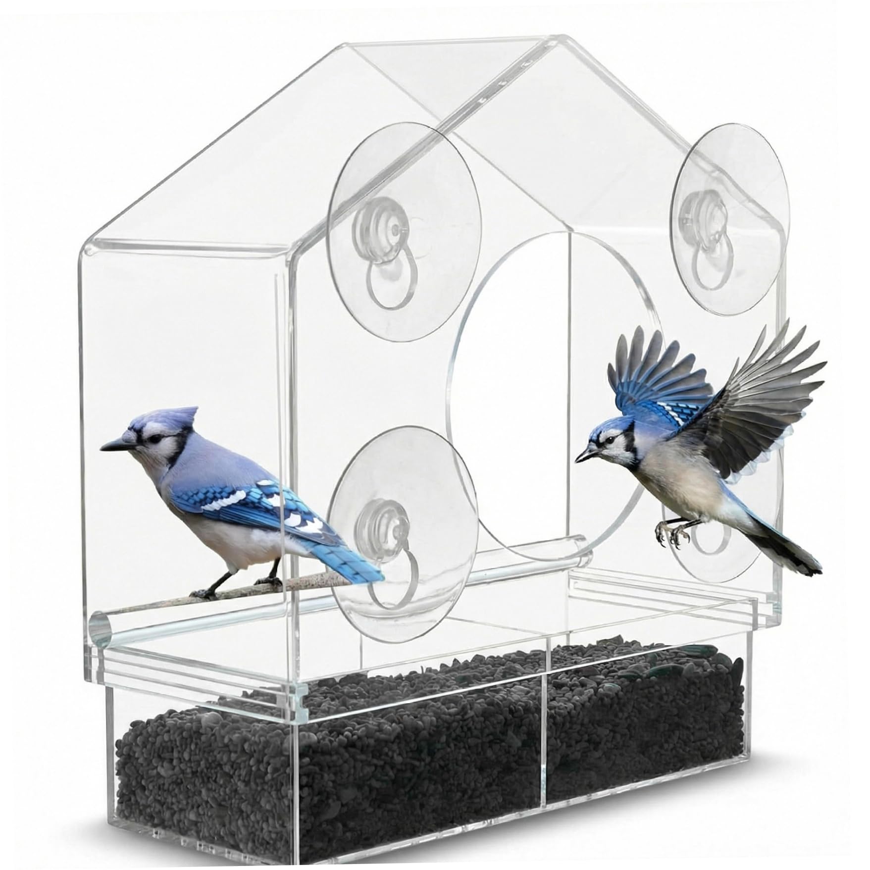 Mangeoire à oiseaux pour fenêtre transparente à ventouses avec 2 compartiments