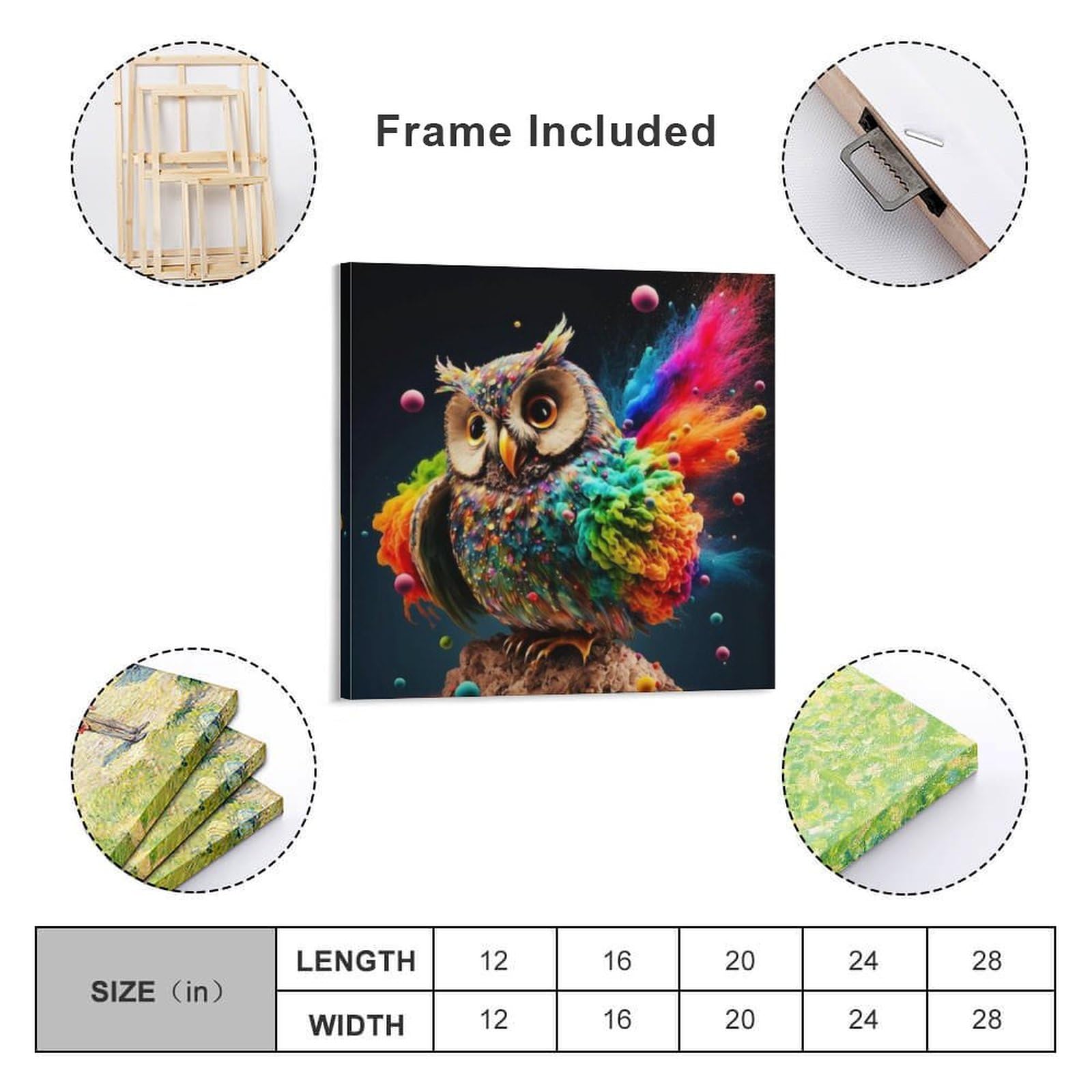 Amazon.co.jp: 絵画 カラフルなフクロウインテリア 絵画 ファンタジー