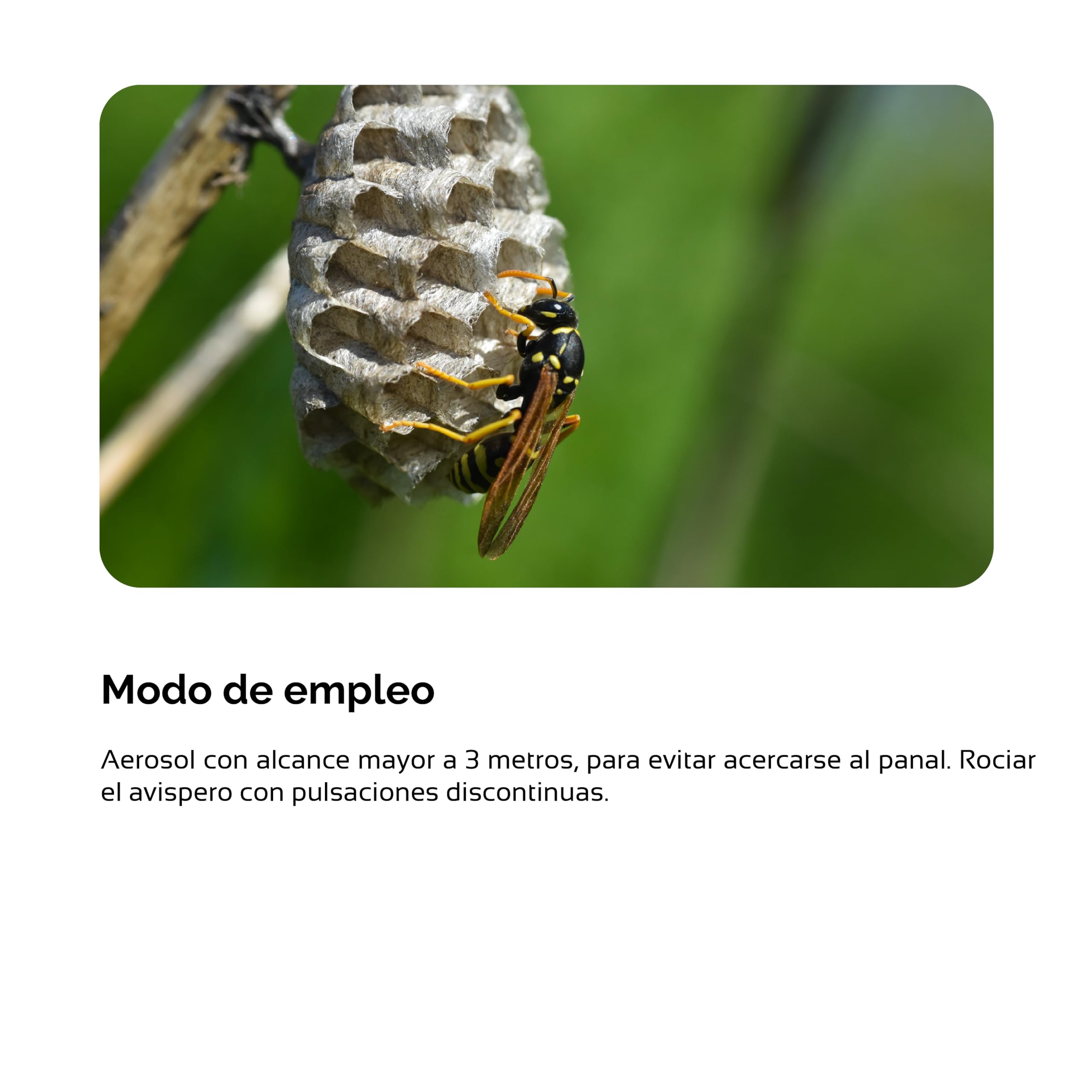 Insecticida contra avispas aerosol largo alcance | Zum-Kade Plus avispas | Formato 1 L