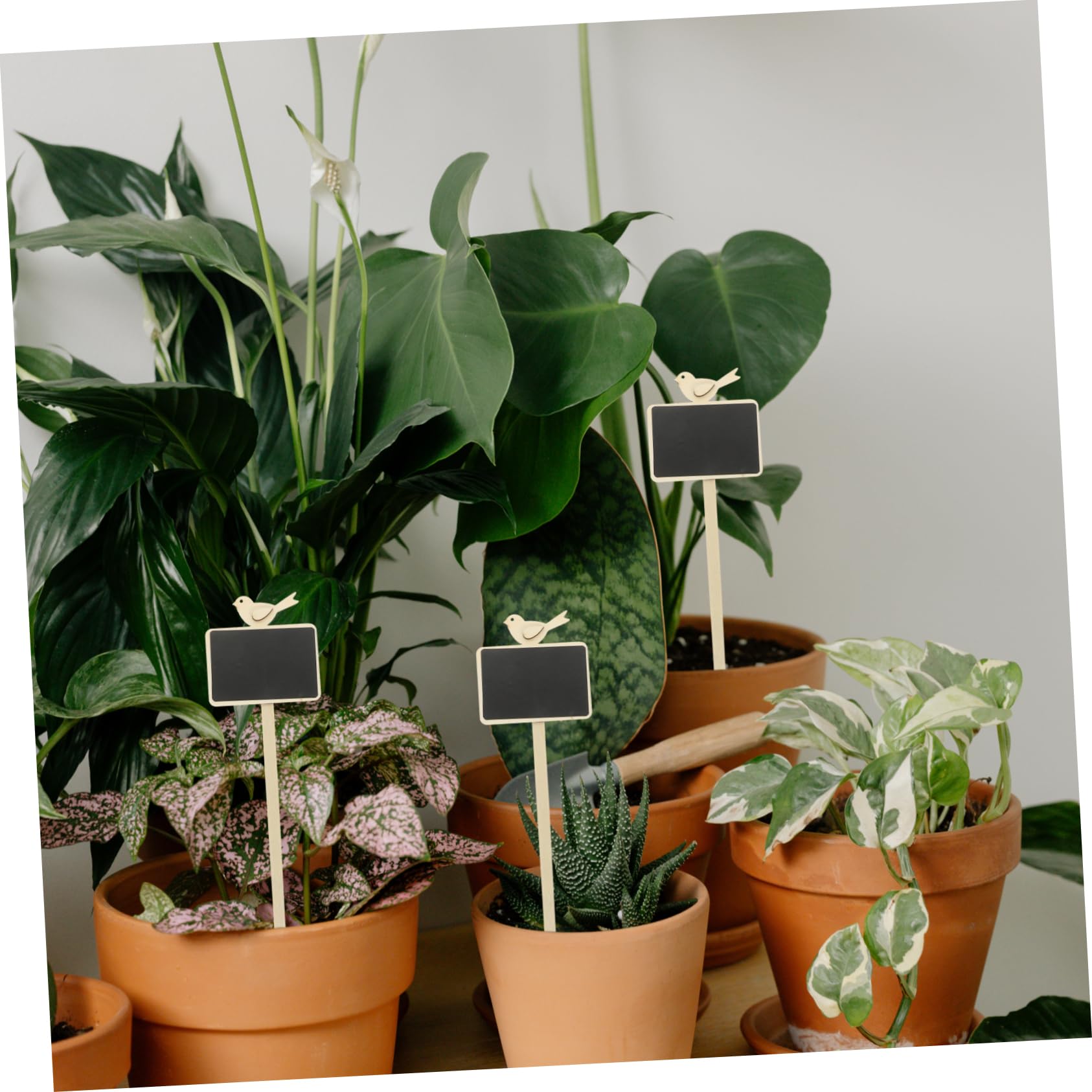 5 Ensembles Étiquettes Pour Plantes Ardoises Pour Décoration De Identification Plantes Accessoires De Jardinage Élégants 5 Pièces * 5