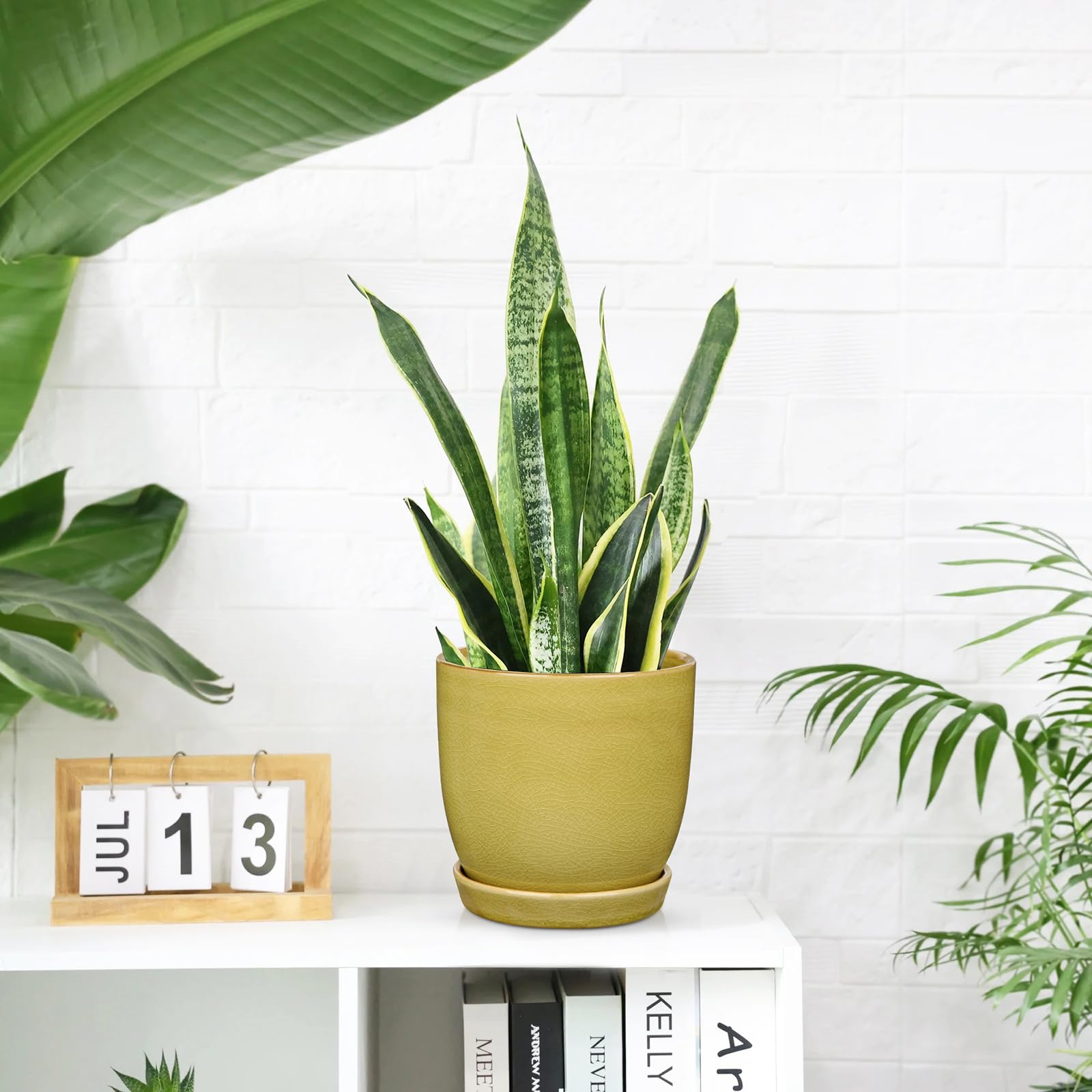 Oairse Set of 2 Ceramic Plant Pots 12CM 15CM Yellow Indoor Ceramic Planter with Drainage Holes and Saucers Tray Decorative Flower Pots Garden Pot for Succulent Cactus House Plants - Image 4