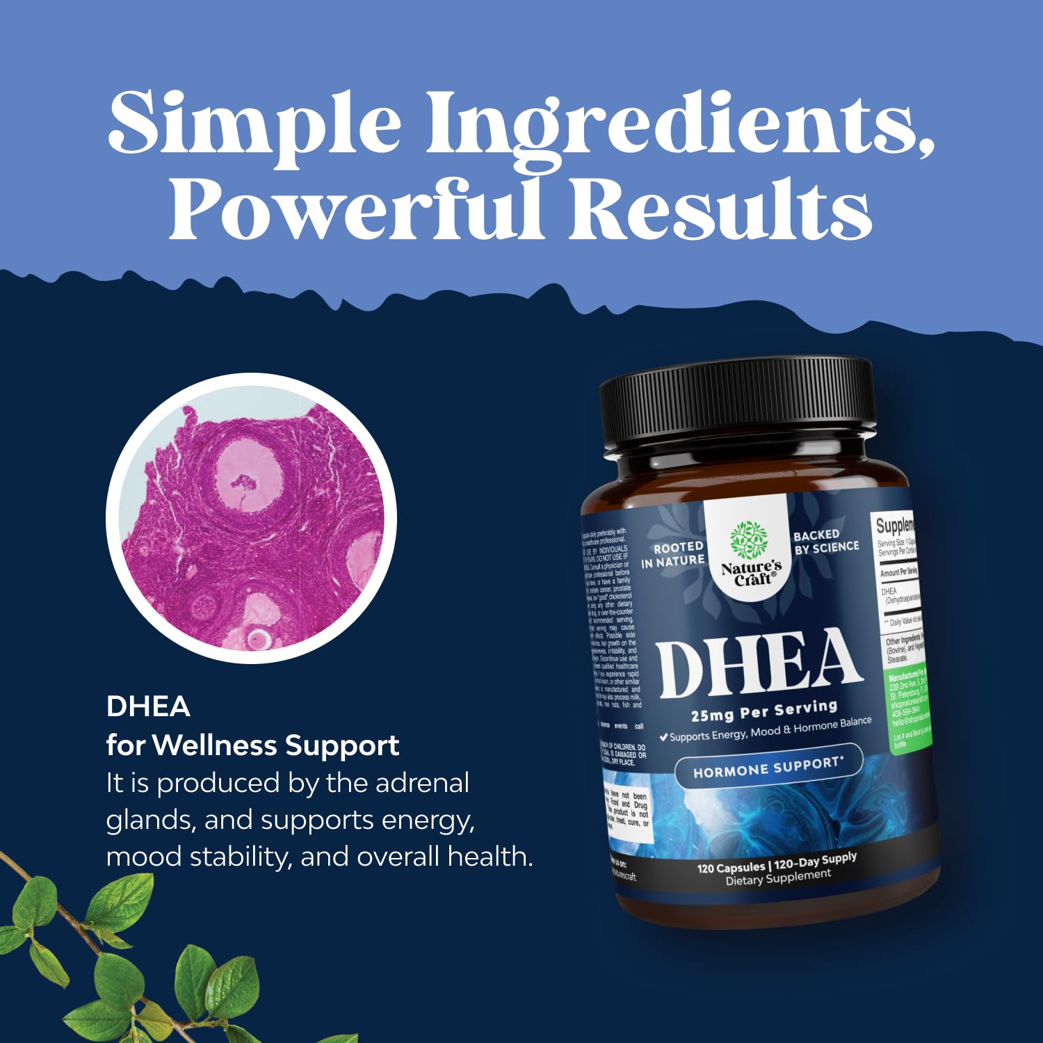 DHEA Supplement for Women & Men - Hormone Balance & Mood Support - 120 Ct — Amazon image 4