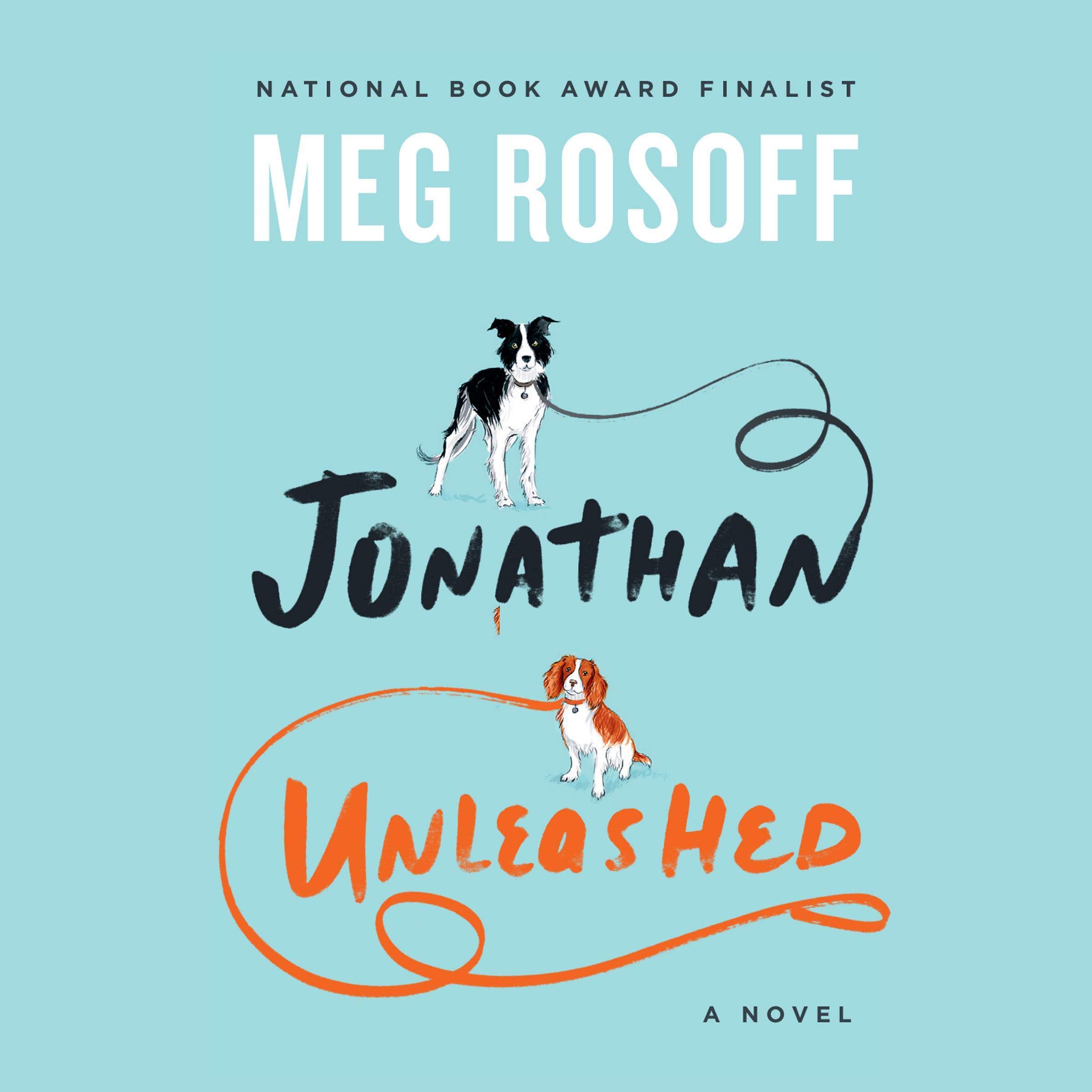 Cover art for Jonathan Unleashed