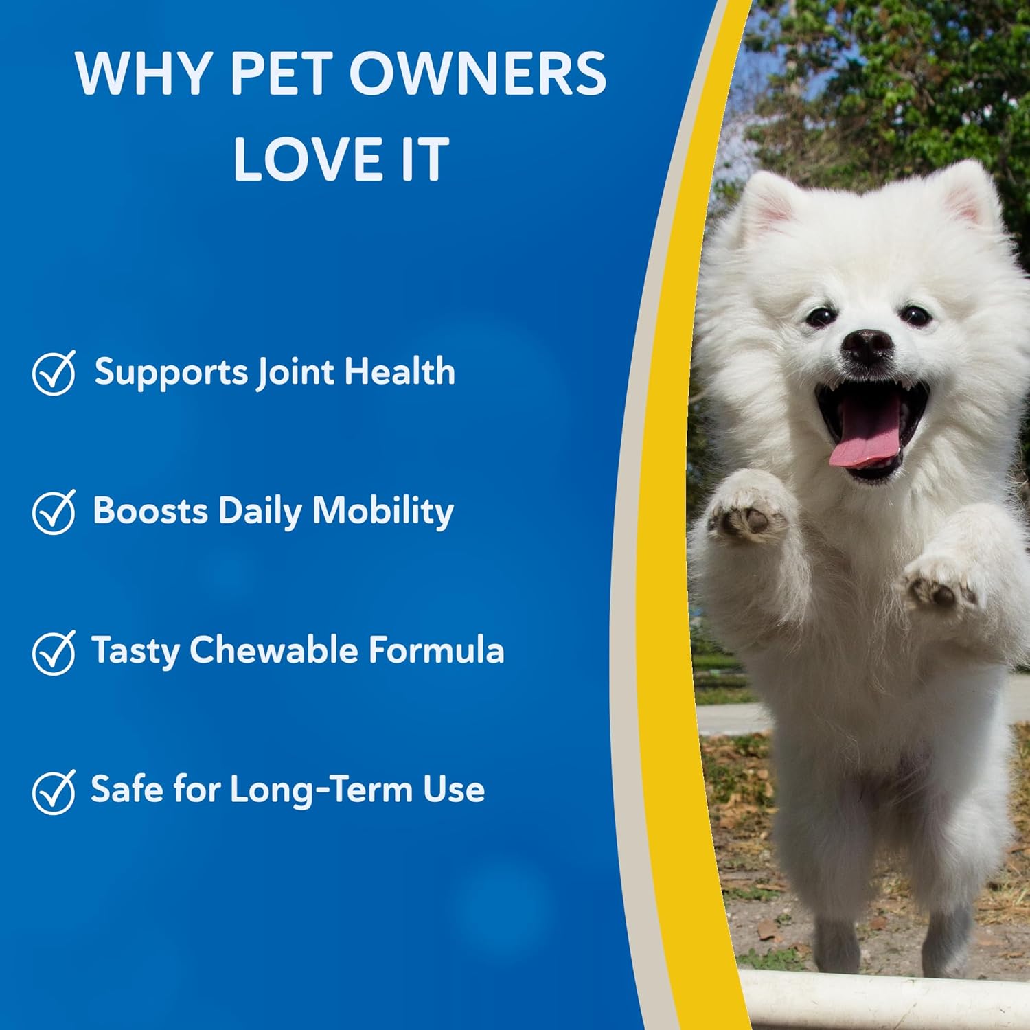 Doc Roy's Aches Away for Dogs, Joint and Hip Support Supplement, with Glucosamine, MSM, Perna, Antioxidants, Helps Maintain Mobility and Flexibility, Roast Beef and Liver Flavor Chews, 90 ct