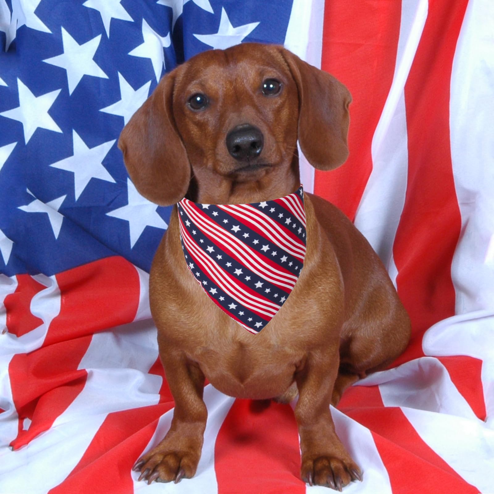PTDECOR Bandana pour chien avec drapeau américain du 4 juillet - Réversible - Pour petits chiens (Style 1, S)