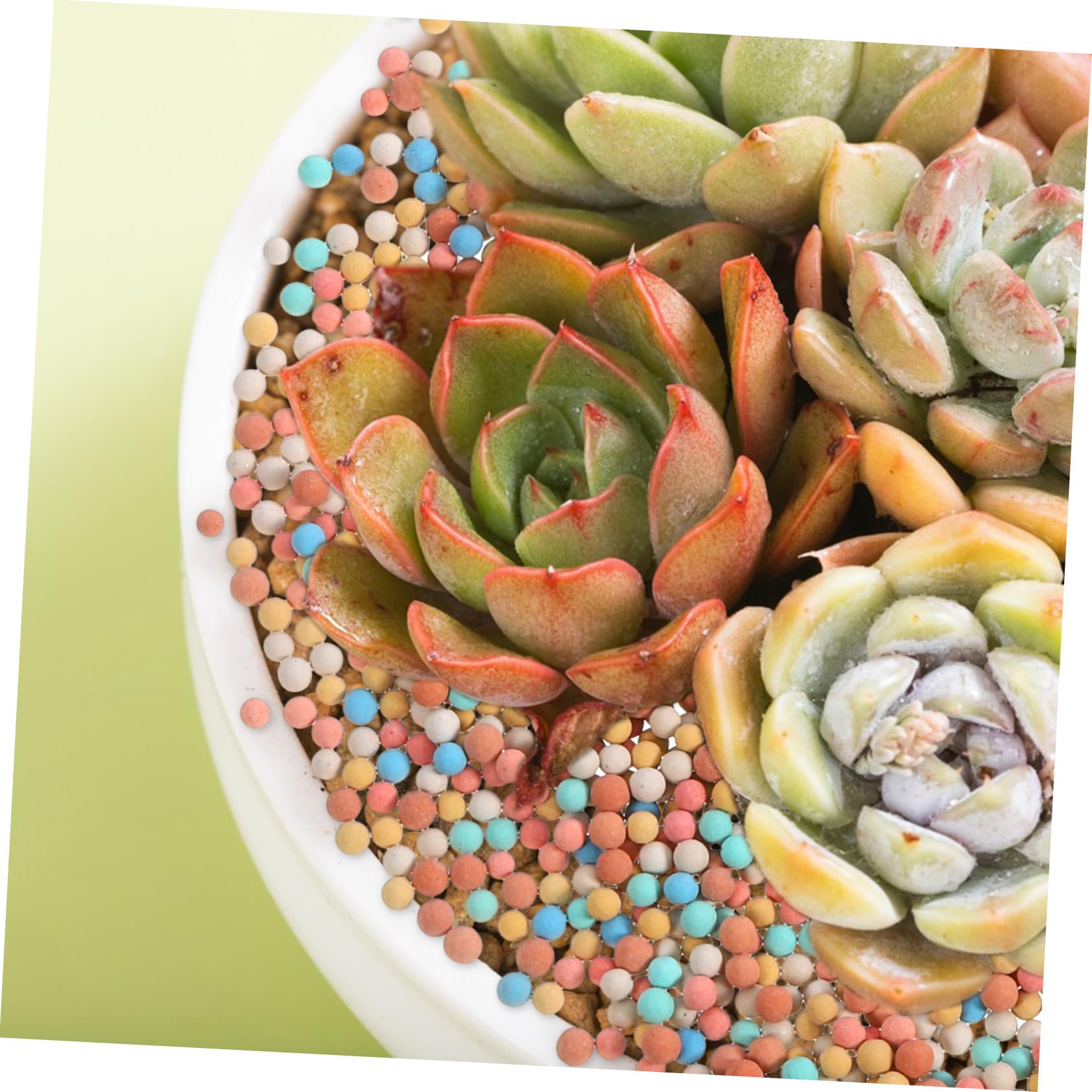 Toyvian 2sacs Fournitures Pour Sol Terreau De Culture Décoration De Jardin Céramsite De Décoration Céramsite Substrat Pour Bonsaï Terreau Pour Fleurs Pour Pot De Fleurs Outils De Jardinage