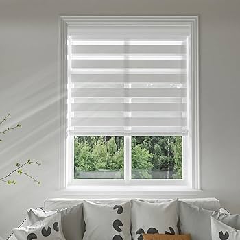 シガテラ Amazon.com: Changshade Cordless Zebra Shades for Windows