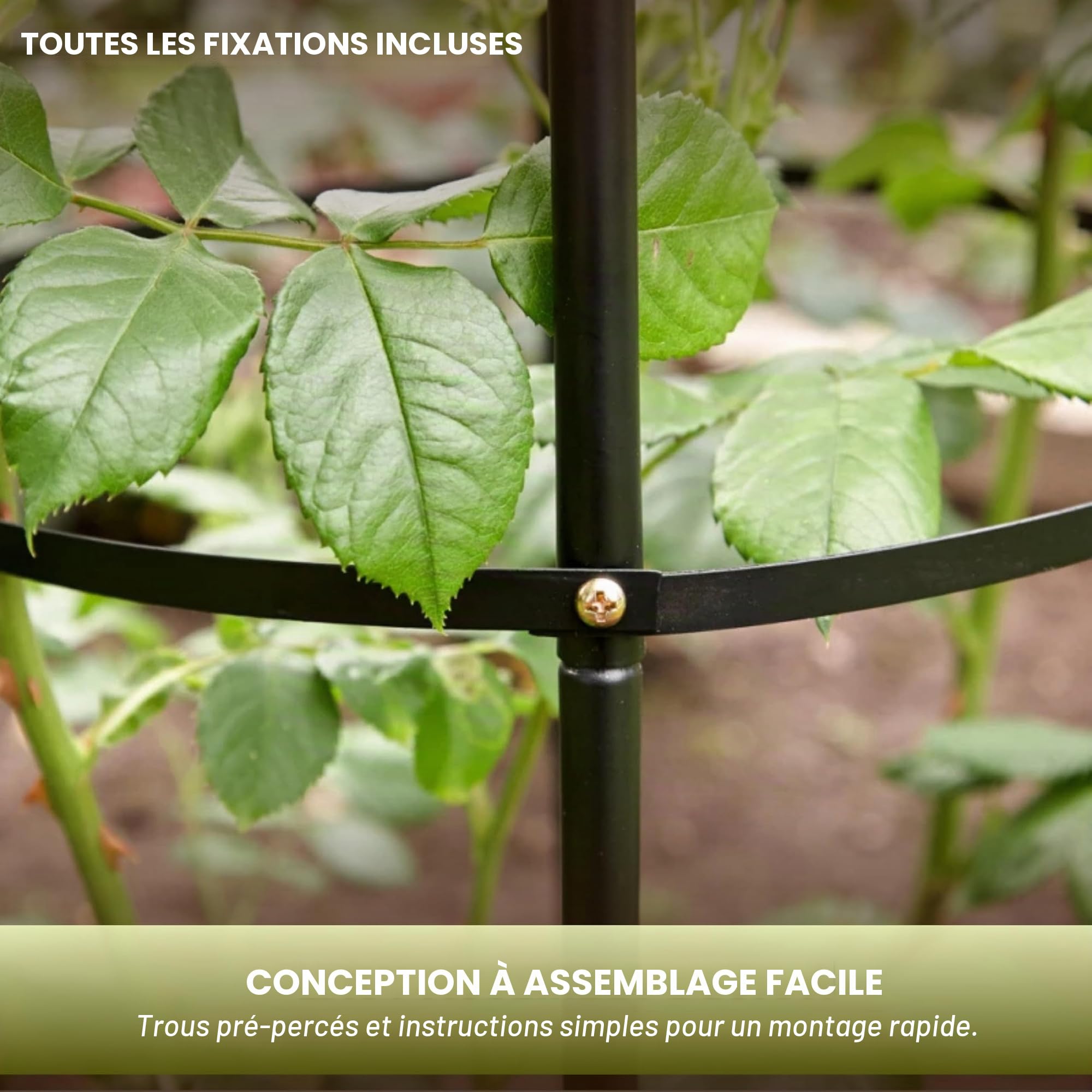 Garden Mile Lot de 2 grandes cages tubulaires en métal vert pour plantes grimpantes - Structure de support pour lierre, pois de senteur, clématites et autres fleurs - 2 lots
