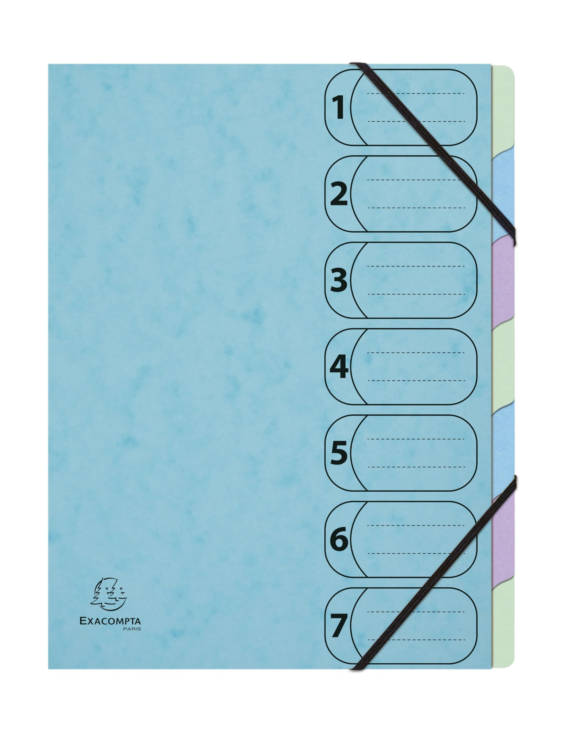 Exacompta - Rif. 56562E - Cartone da 8 raccoglitori Harmonika con elastici a 7 scomparti, A4, colore blu pastello