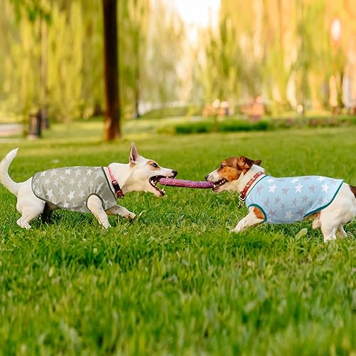 Vista 14 de Camisas refrescantes para perros, camisas para perros extra pequeñas, ropa para perros machos y hembras, camisetas refrescantes para Yorkie