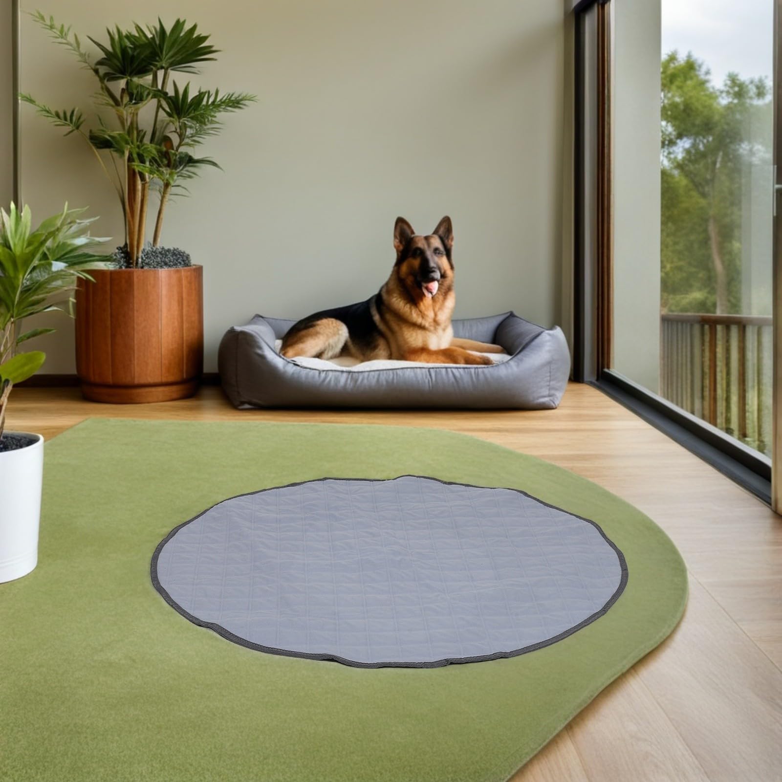 Kichvoe Tappetini Flanella Riutilizzabili Porcellini Igienici per in Cani Assorbenti D'india L'addestramento Domestico e Zone Interne