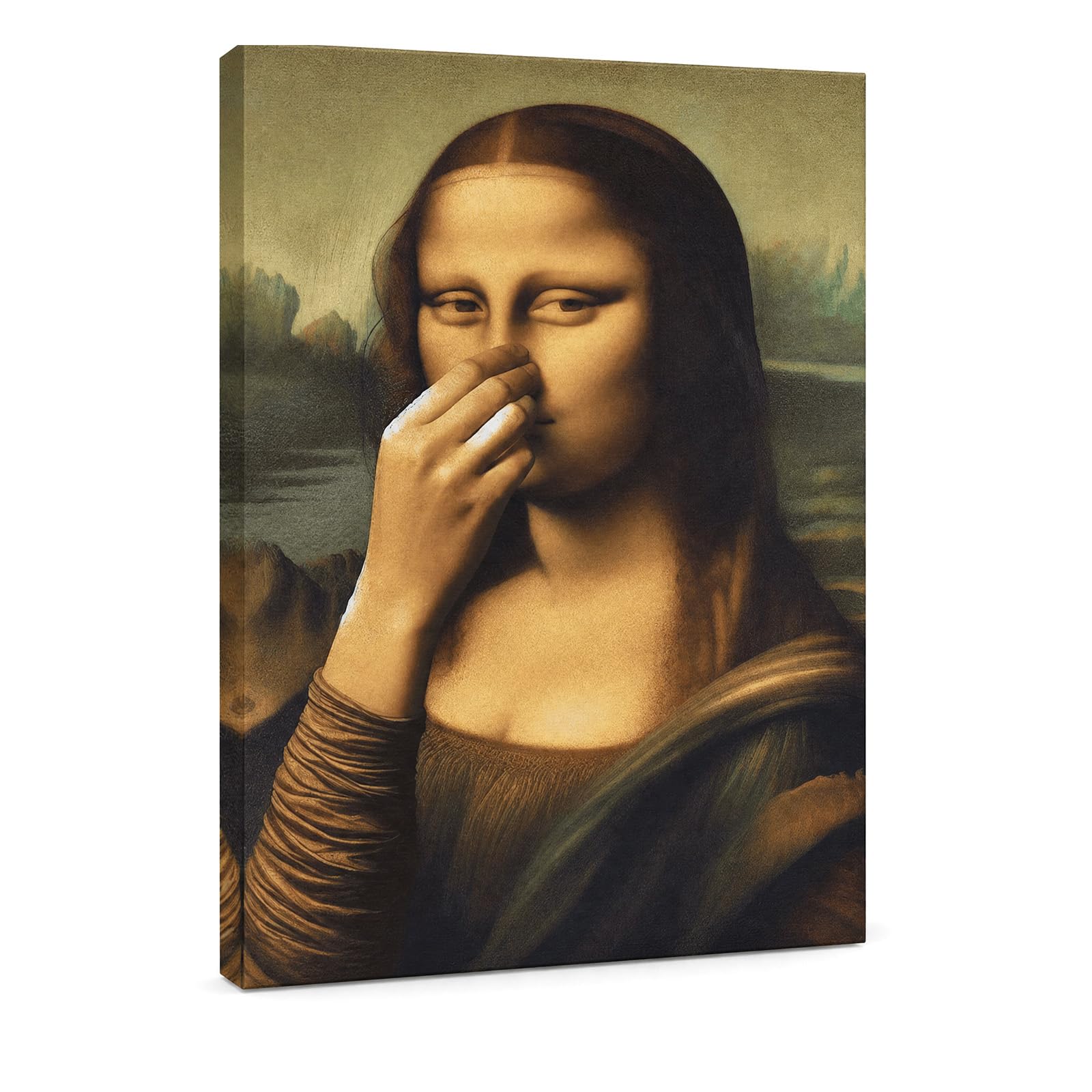 Szzhantuo 30x40cm/11.8x15.7 Framed Funny Mona Lisa Bathroom Wall Decor