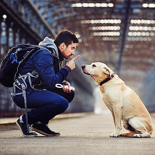 Miniatura 8 de Clickers y silbatos de entrenamiento de perros en uno, refuerzo positivo consistente para cachorros, arregla comportamientos no deseados, clicker de