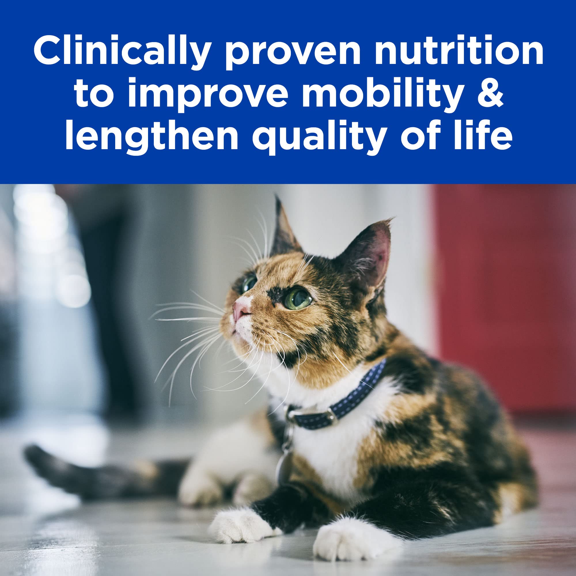 hills kidney mobility