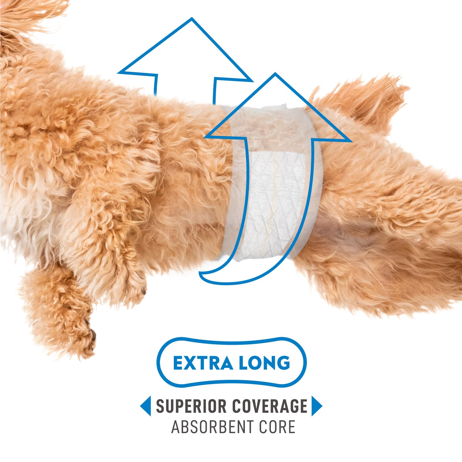 Paw Inspired Select Fit - Pañales desechables para perros machos, con indicador de humedad, bandas para el vientre para perros pequeños, medianos y grandes (M, 20 unidades)