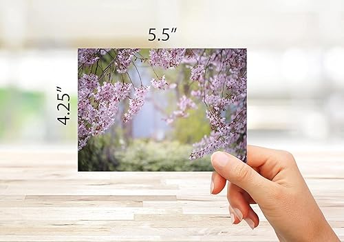 Miniatura 3 de Small World Greetings Spring Blossoms - Tarjetas de notas de flores, 12 unidades, interior en blanco con sobres blancos, tamaño A2 de 5.5 x 4.25