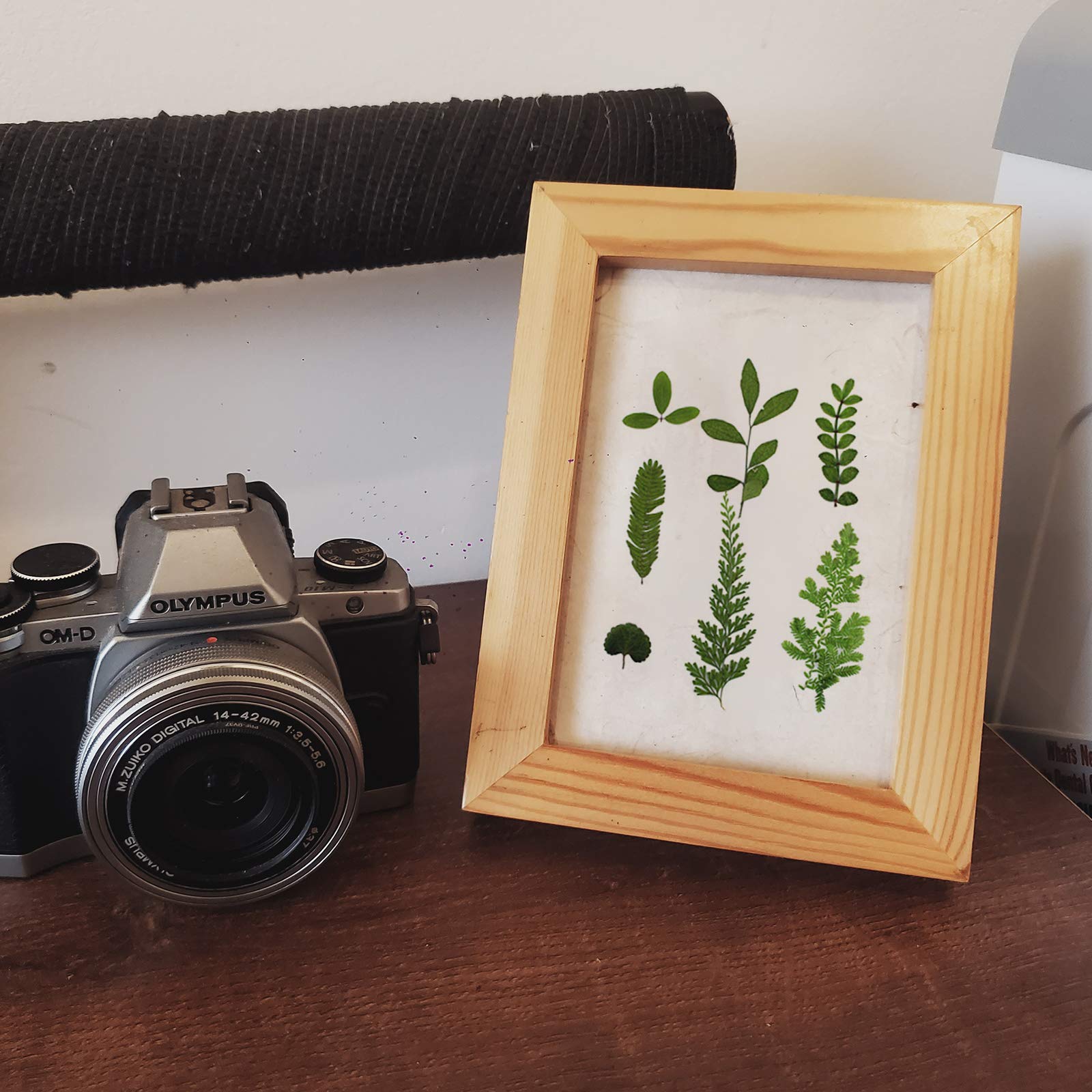 84 Hojas secas prensadas de Plantas de herbario pétalos Mezclados Hojas secas Naturales Reales para Manualidades de Resina DIY Pegatinas de uñas Adornos Decoraciones (A)