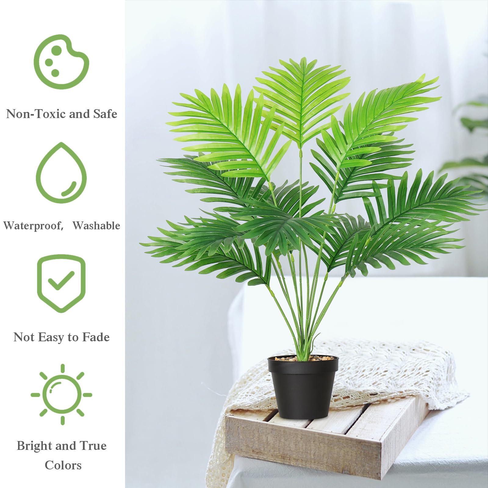 house plants palm varieties Majesty Palm
