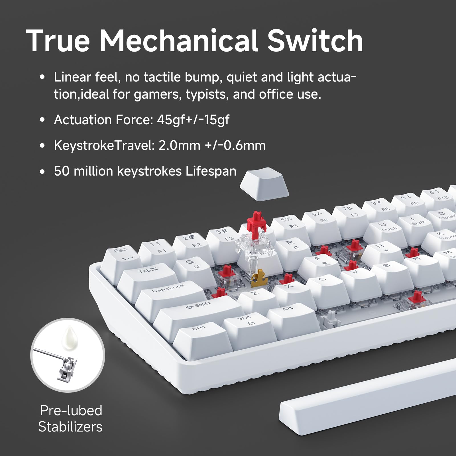 Dierya×TMKB Tastiera Gaming Meccanica 60% con Interruttori Meccanici Lineari,T68se Keyboard Gioco Luce monocromatica Type-C Mini Compact 68 Tasti Anti-Ghosting（Layout US,QWERTY）