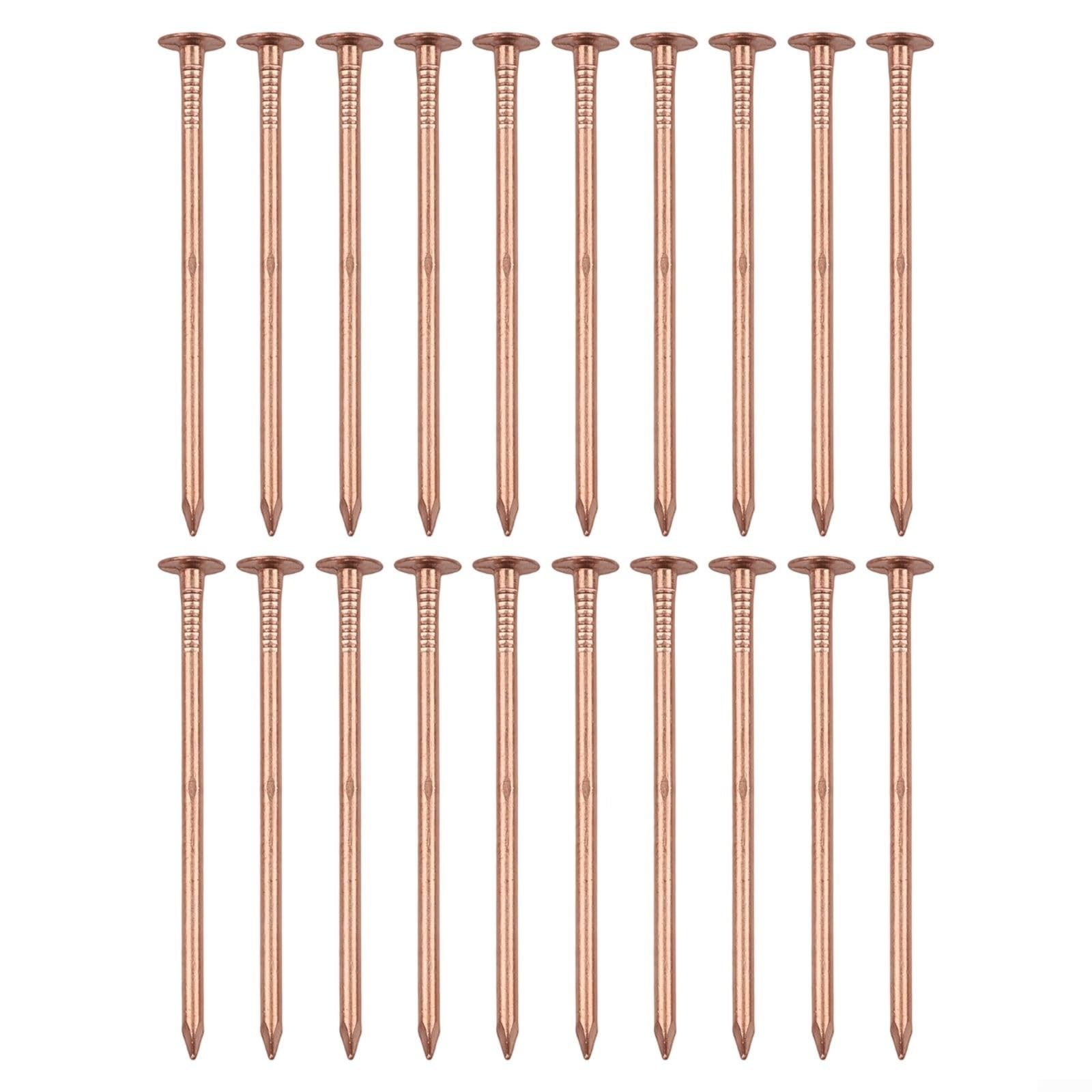 Clous tueurs de souches en cuivre massif de 65 mm pour l'élimination des racines de jardin