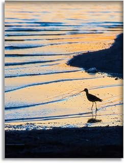 Bathroom Wall Art Decor Bathroom Pictures for Wall Artwork Salton Sea Bird at Sunrise Framed Canvas Wall Art for Bedroom Dining Room Farmhouse 16"x20"