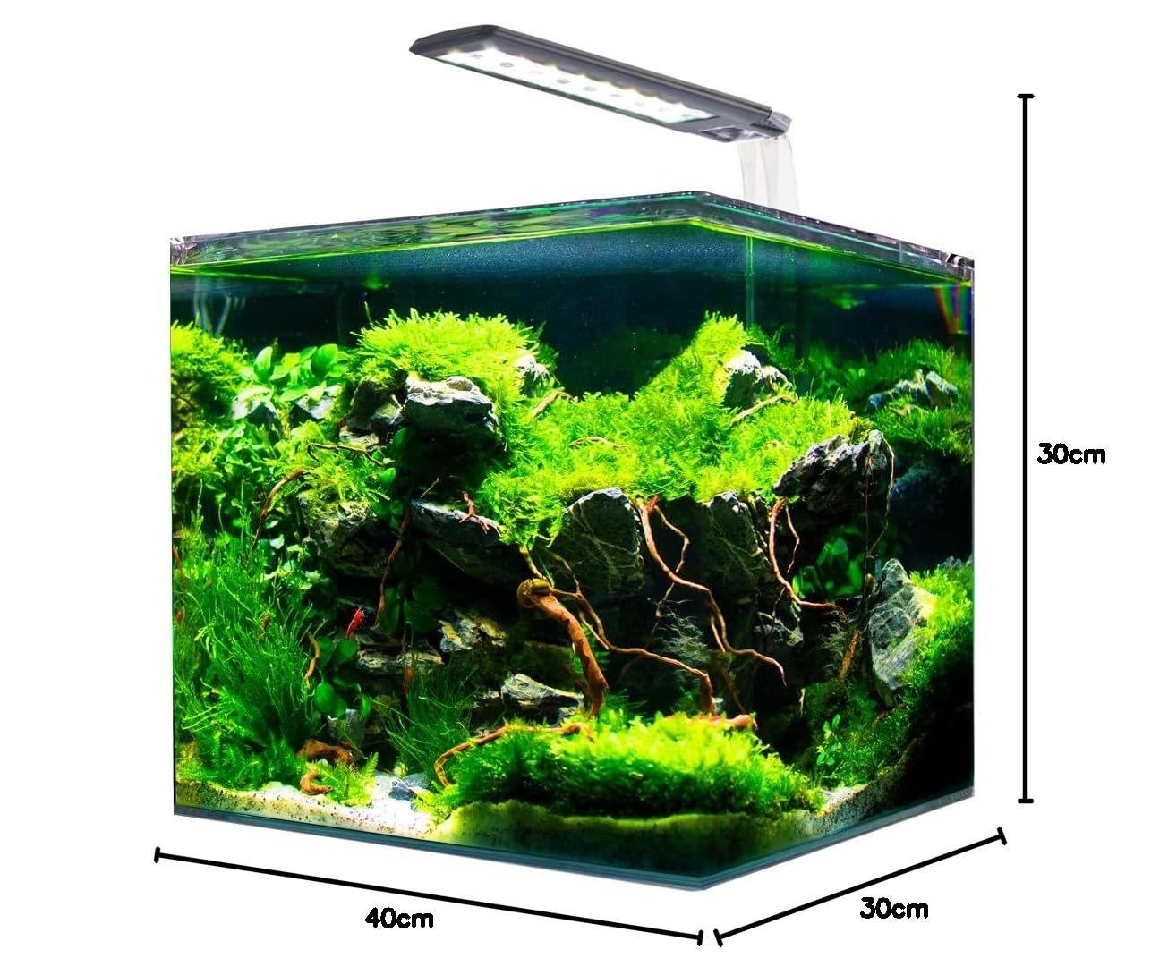AMTRA NANOTANK System 36 - Acquario in Vetro Completo di Luce LED, Filtro e Tappetino / 40x30x30cm / 36 Litri