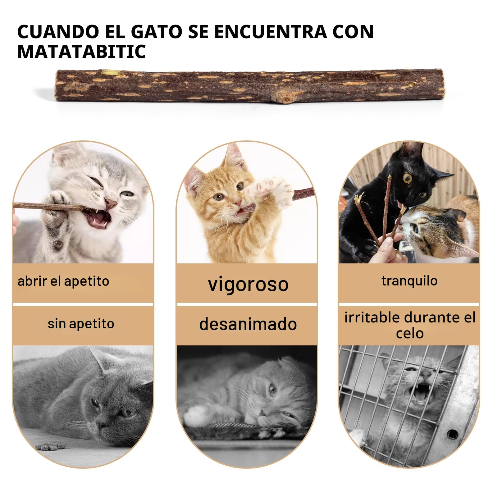 Juguete Gato,Palitos Masticables Matatabi para Gatos,Juguete para morder para Gatos Natural Matatabi Dental,Paquete de 30 Unidades