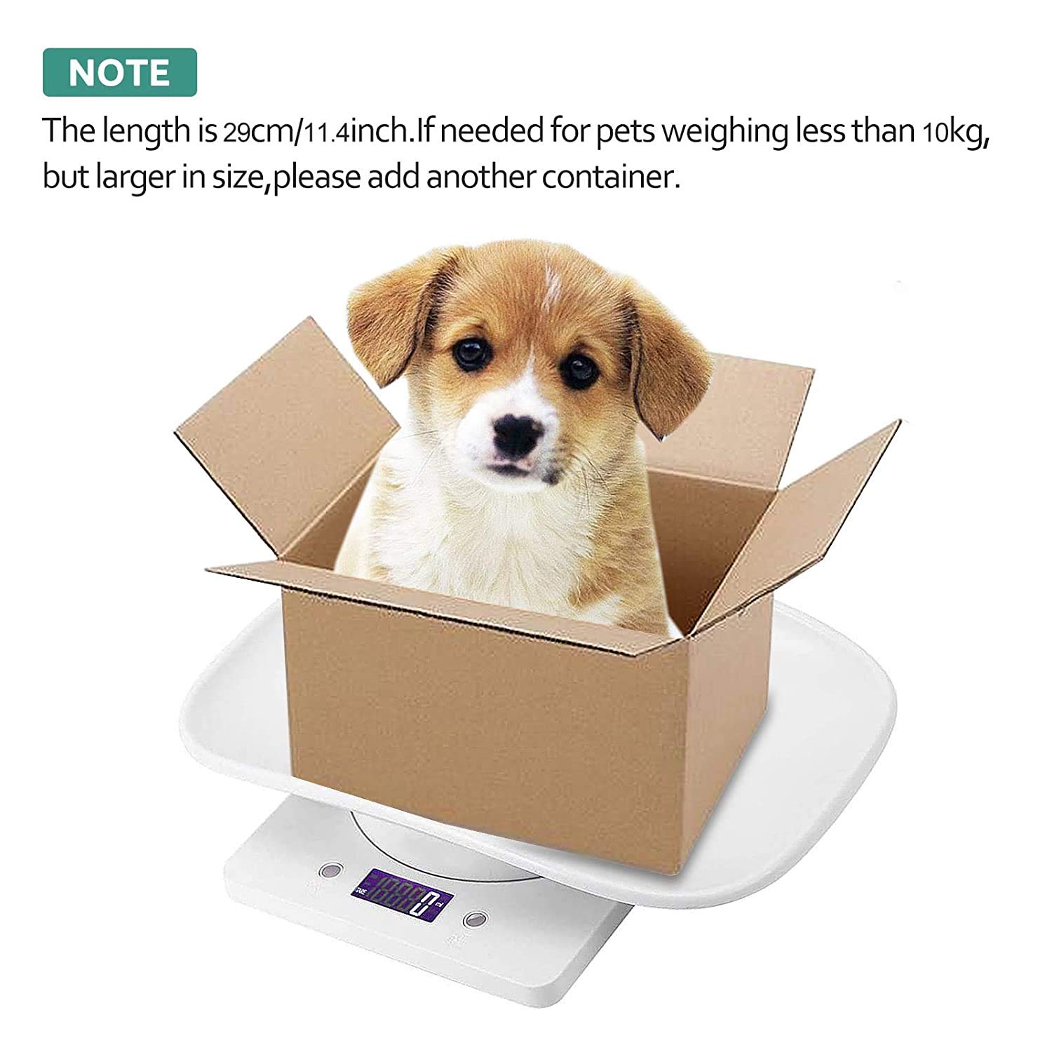 Digital Pet Scale LCD Electronic Small Animals Weighing Scale, Kitchen Food Scale, Mini Precision Grams Weight Balance Scale with g/ml/oz/lb for Pup/Cat/Hedgehog/Ferret/Hamster/Tortoise/Lizard