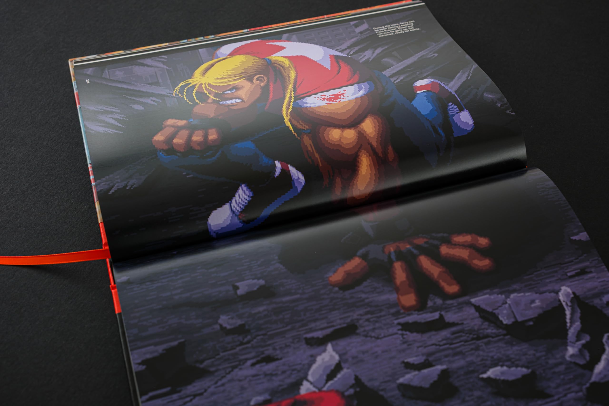 Fatal Fury/Garou Densetsu: The Ultimate History