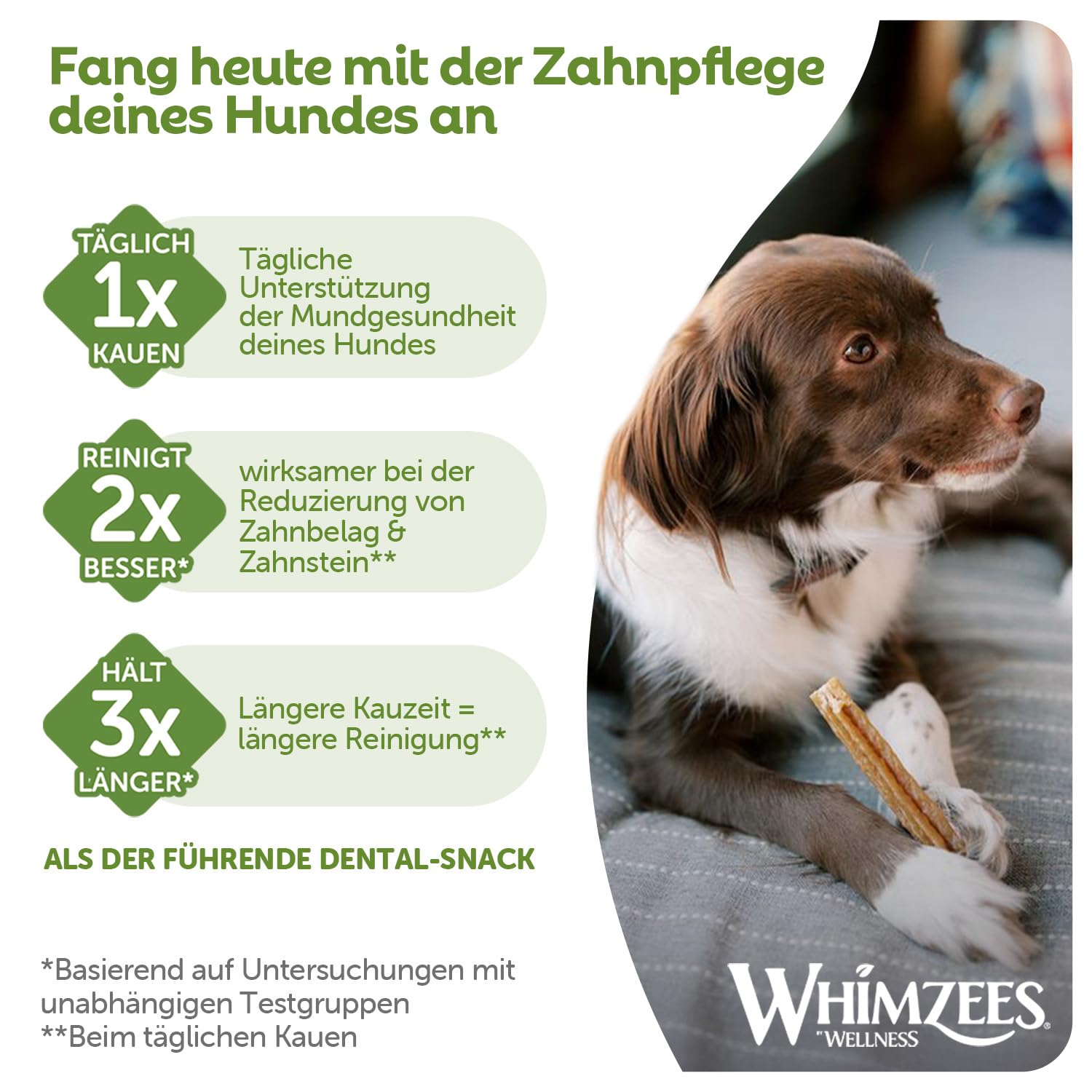 WHIMZEES Stix M, Monatspackung, 30 Stück – Größe M, Kaustangen für mittelgroße Hunde zur Zahnpflege, Getreidefrei, Natürlich, ohne Zuckerzusatz