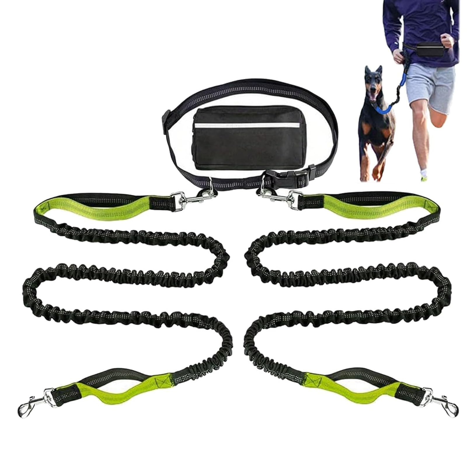 Laisse pour chien verte double poignée idéale pour le jogging et les randonnées en ville