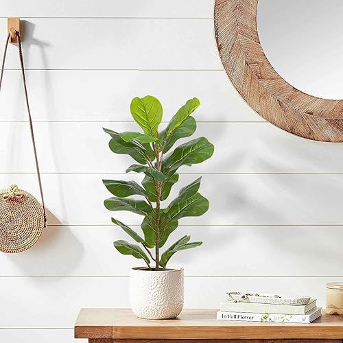 Miniatura 4 de Aveyas Higuera artificial de hoja de violín Ficus lyrata de 30 pulgadas para decoración del hogar, planta sintética grande en maceta, árboles de