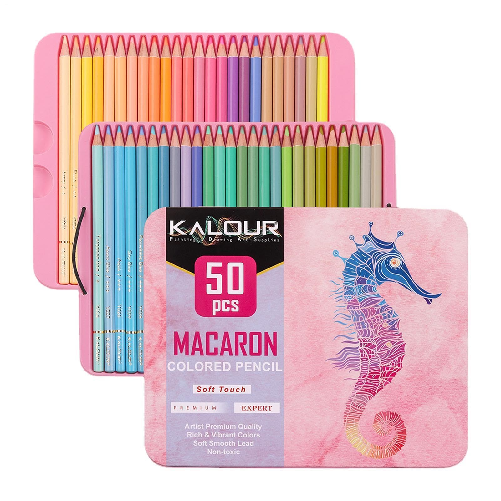 Lot de crayons de couleur en vrac – 50 nuances de crayons pré-taille