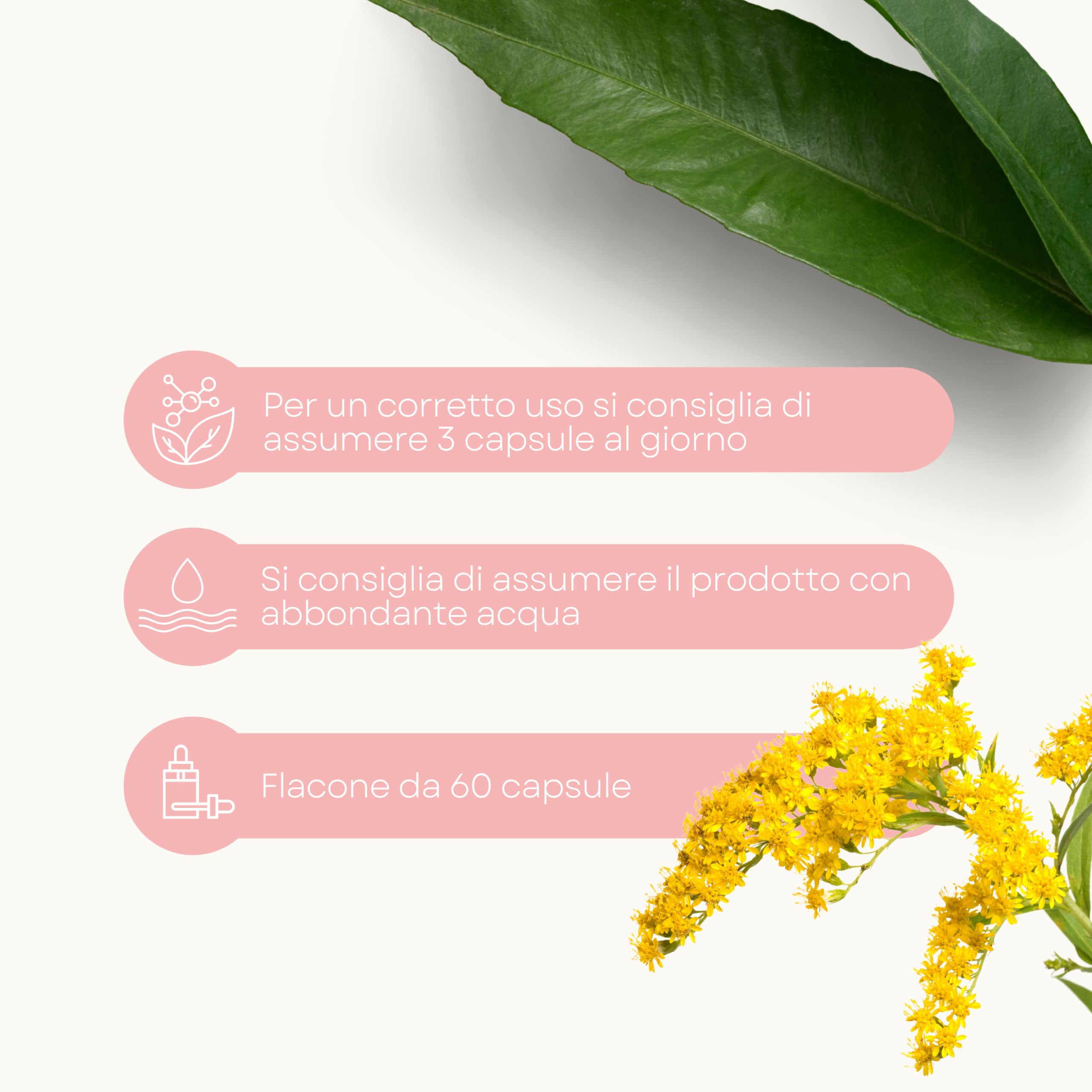 Lemuria - Cystilem - Integratore Alimentare - Favorisce la Funzionalità delle Vie Urinarie e il Drenaggio dei Liquidi - 60 Capsule - Made in Italy