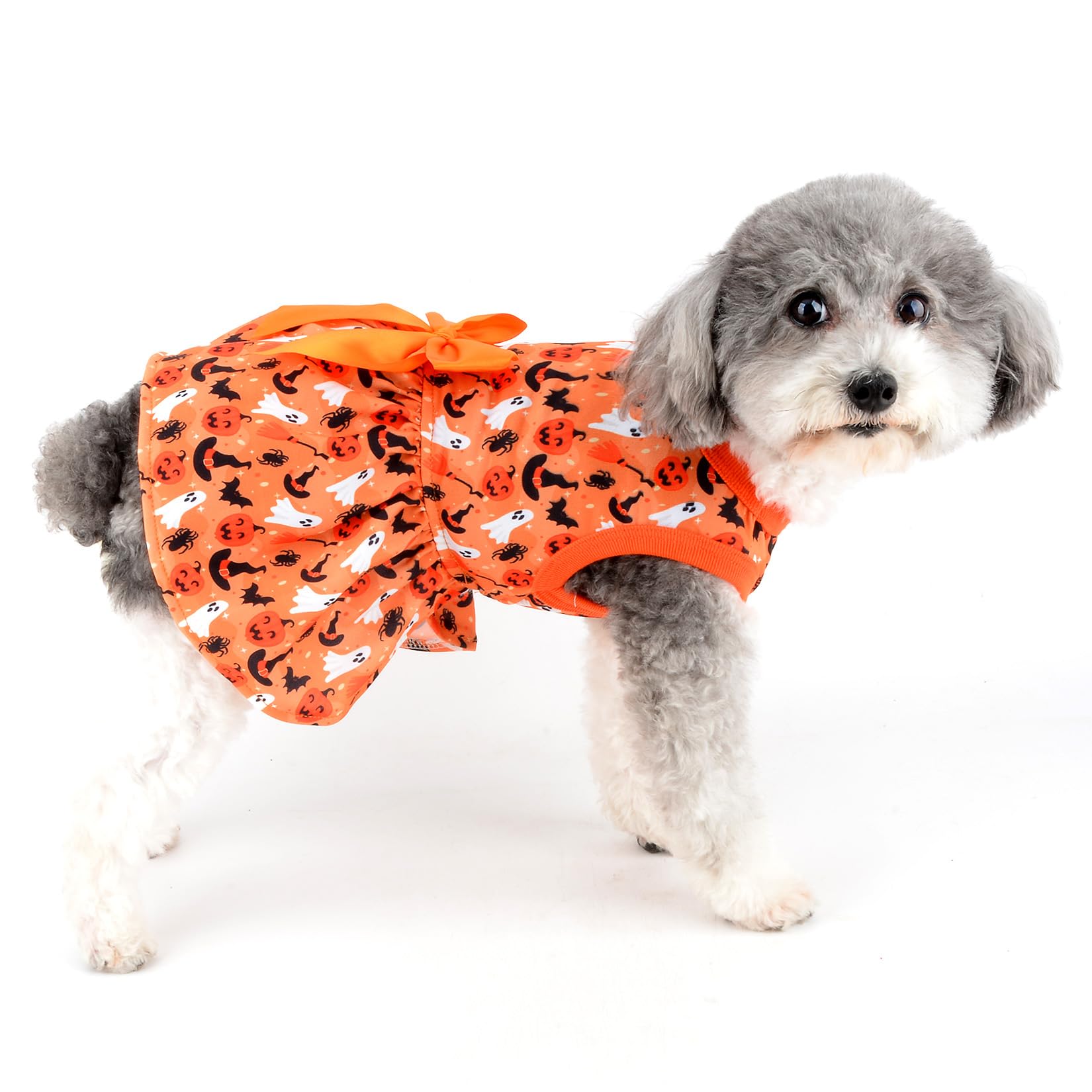 Ranphy Halloween Dog Dress for Small Dog Lightweight Pets Clothes Cute Girl Doggies Skirt Elastic Outfits with Bow Ghost Pumpkin Bat Witch Hat Puppy Cat Holiday Cosplay Costume - Image 2