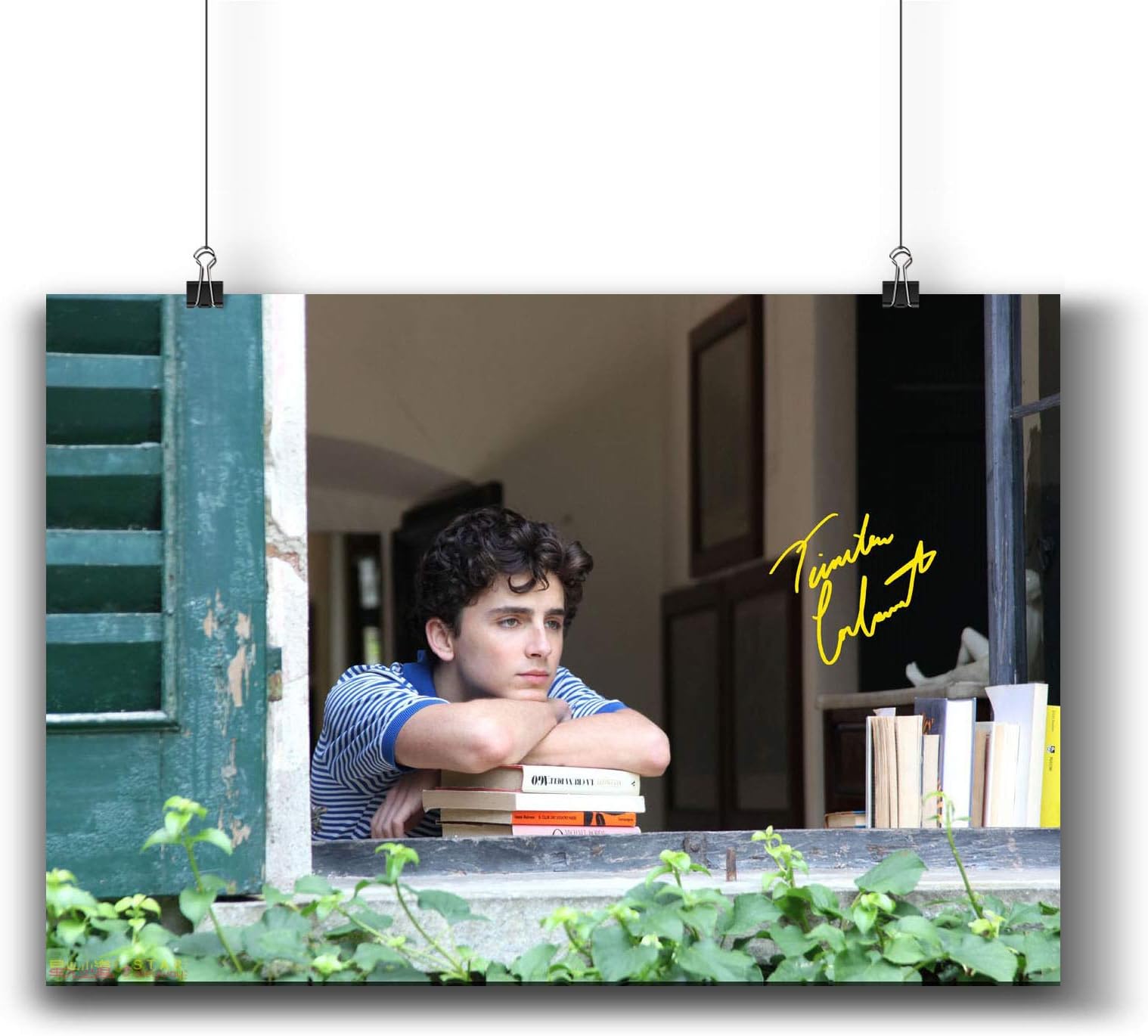 Pentagonwork Call Me by Your Name Movie Poster Casts Signed Reprint 11.7x16.5 A3 Prints w/Stickers 2017 Film, Timothée Chalamet Autographed, 1222-004