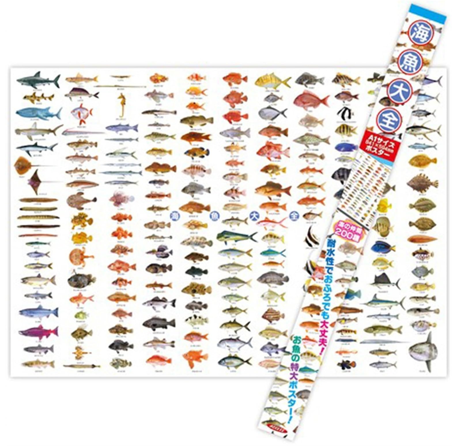 【非売品】グリムノーツ A1 サイズ 特大 ポスター ポスターグリップ A1 屋内用 PG-20R | 594×841 即納可