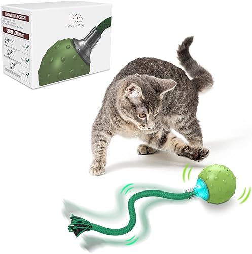 AUKL Cat Toys - Pelota de juguete giratoria interactiva para gatos con sonido de pájaro (bola verde) disponible en Yaxa Colombia