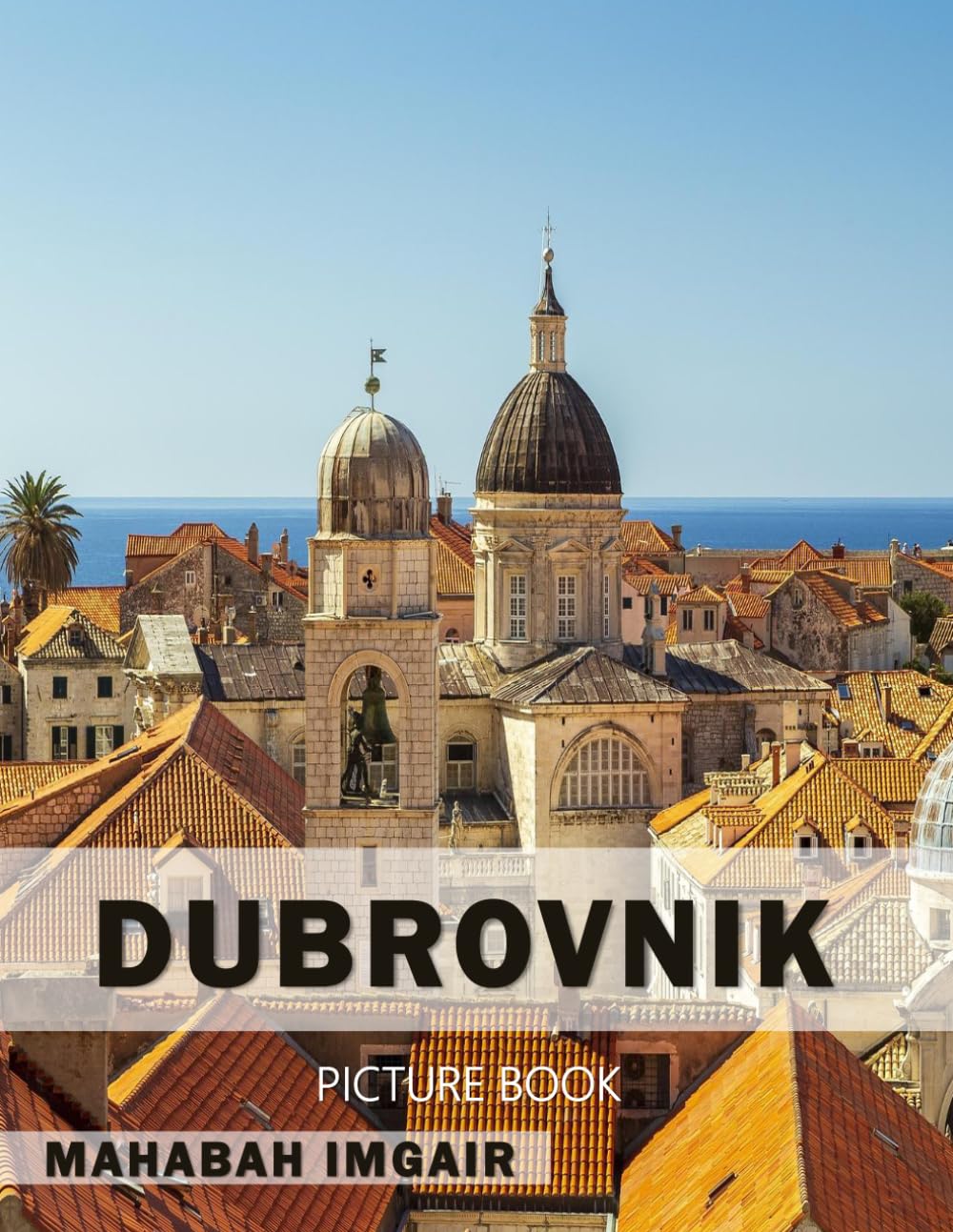Dubrovnik: A Stunning Coffee Table Photo Book for Travel and Tourism Enthusiasts