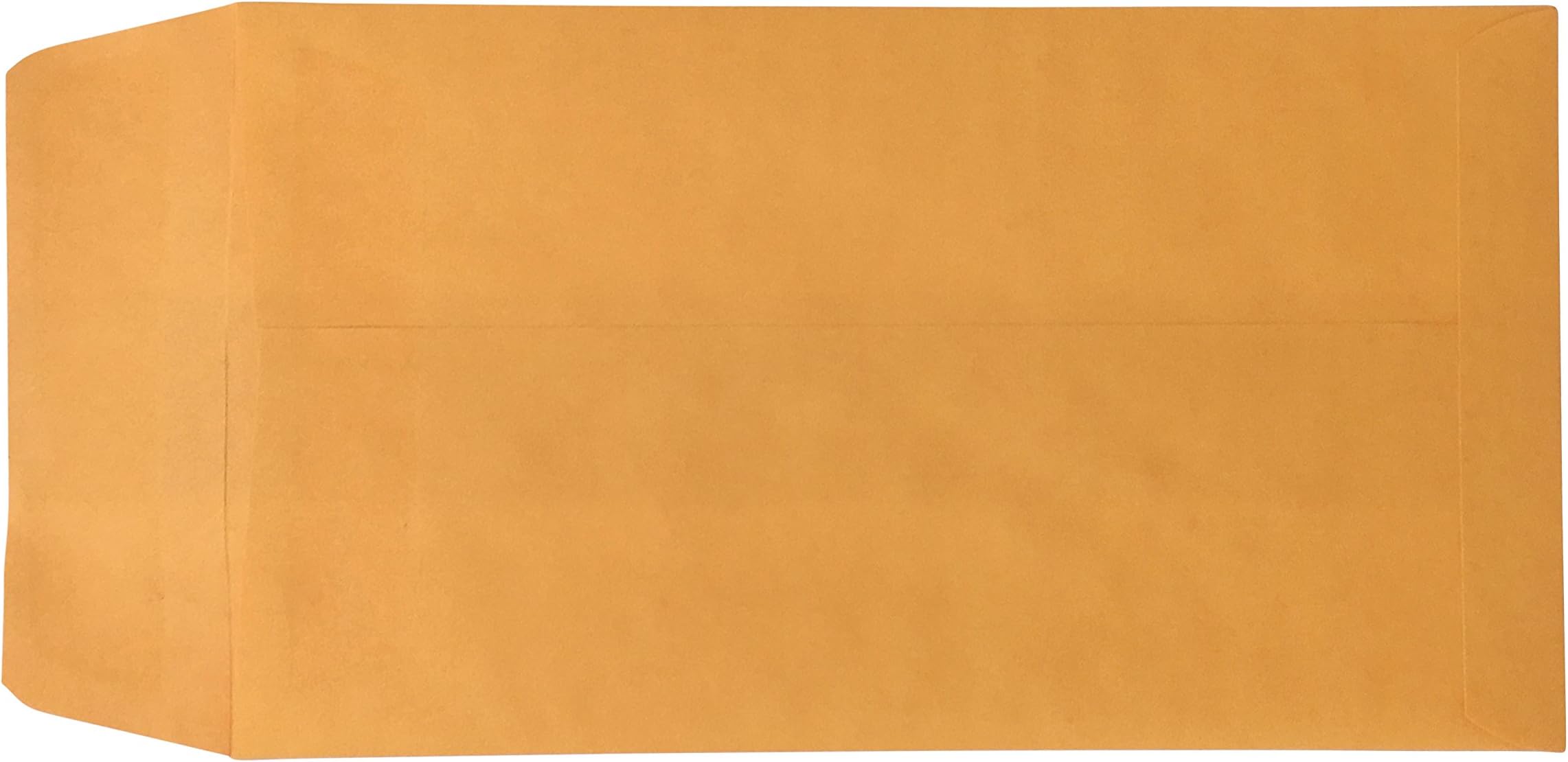 Blank License Plate Envelopes (Press and Seal)