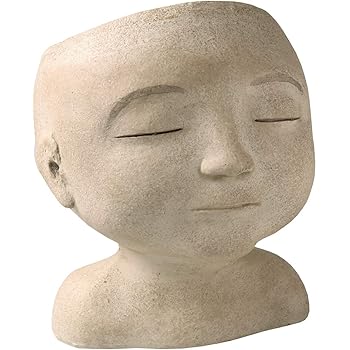 Amazon Com Yikush Female Head Design Succulents Plant Pot With Drainage Hole Cactus Planter Indoor Outdoor Resin Planter Cute Plants Flower Pot No Plant Kitchen Dining