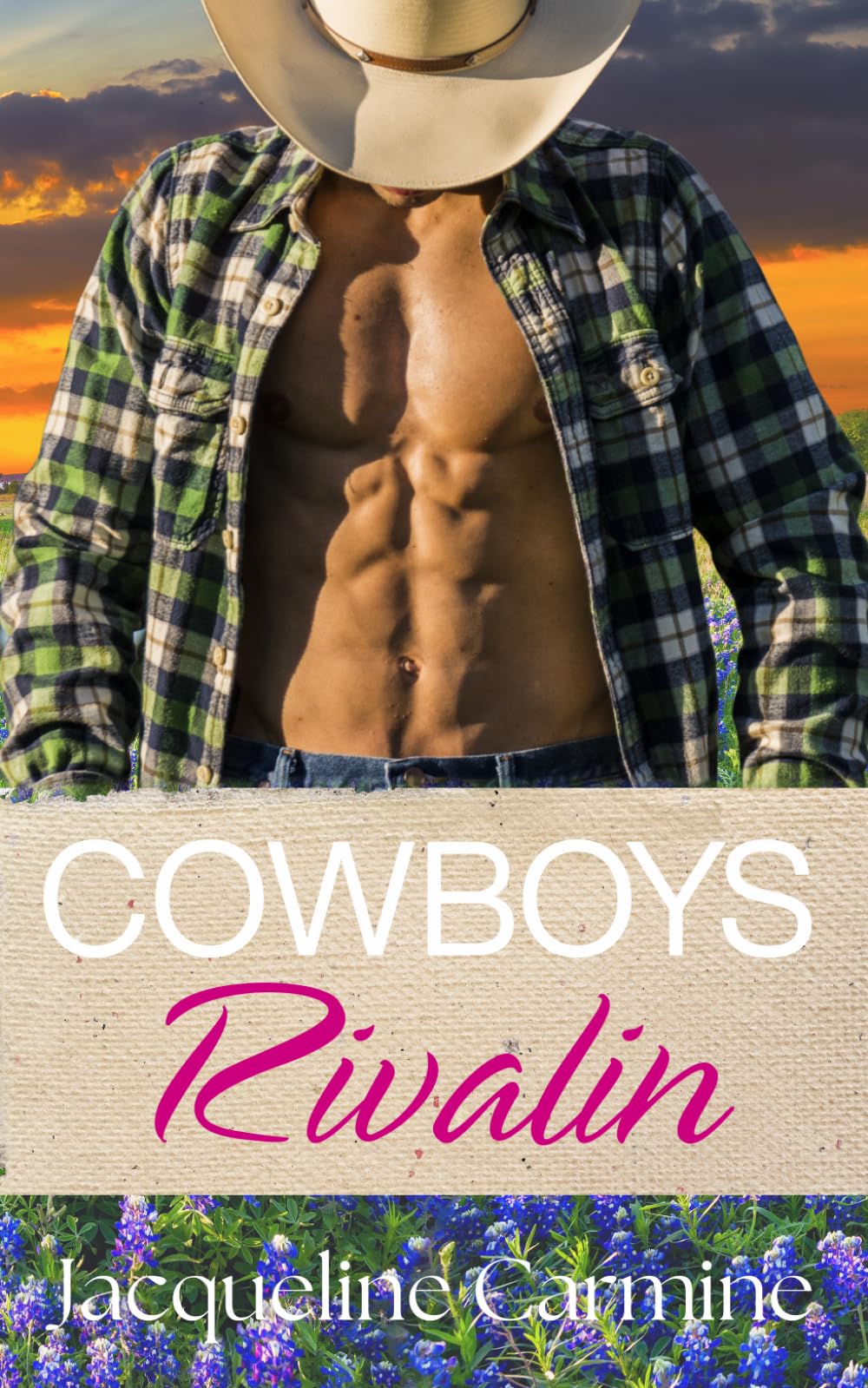 Cowboys Rivalin (Die Henderson-Brüder)