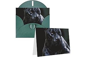 Elegant Black Panther Valentines Day Blank Note Card Set