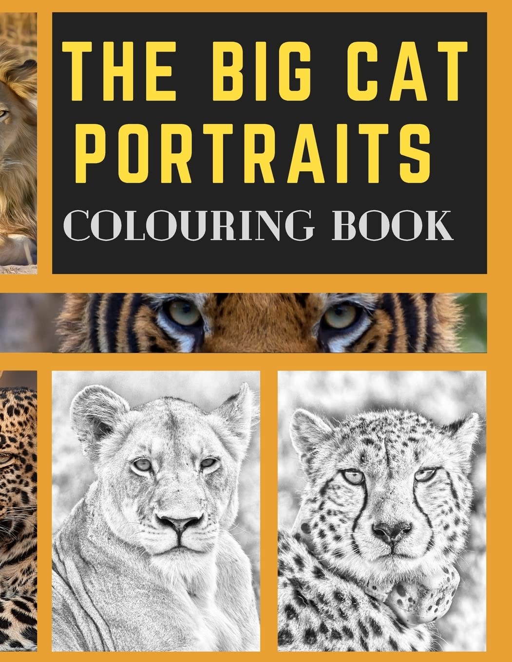 The Big Cat Portraits Colouring Book: Grayscale & Realistic Big Wild Cats Animal Colouring Book - Lions, Cheetah, Leopards, Tigers, Panthers, Jaguars, Cougar, Lynx and Puma Colouring Pages for Adults.