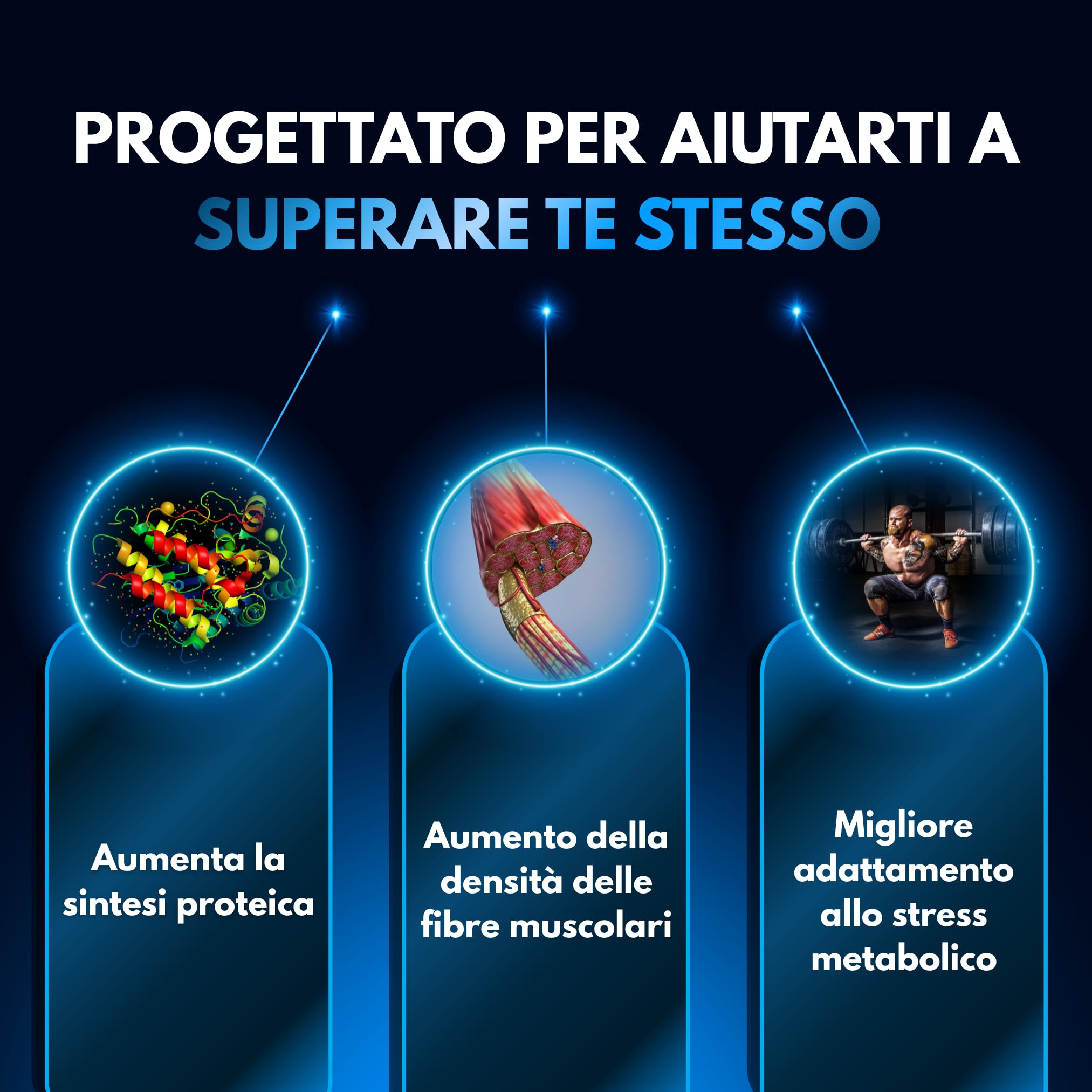 TURKESTERONE 1490MG ✗ 90 Capsule ✗ 25% Standardizzato ✗ Forma Avanzata ✗ Assorbimento Ottimale ✗ Vegano & Senza Glutine ✗ Testato & Controllato ✗ GMP & HACCP ✗