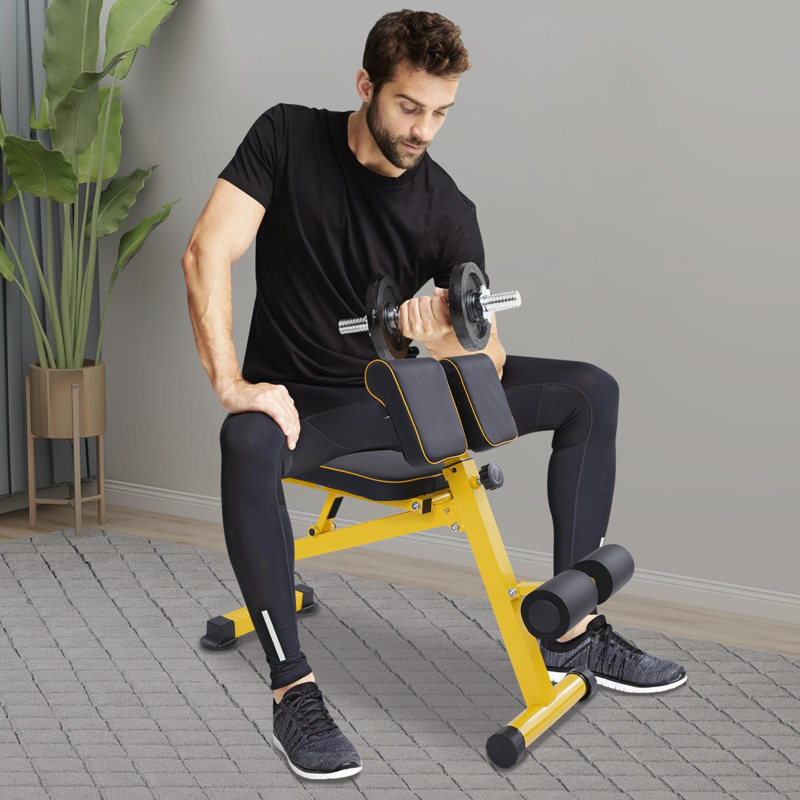 Sedia Romana Iperestensione Attrezzo per Allenamento Schiena Regolabile Multifunzionale Attrezzature per Addominali per Fitness Home Gym Casa